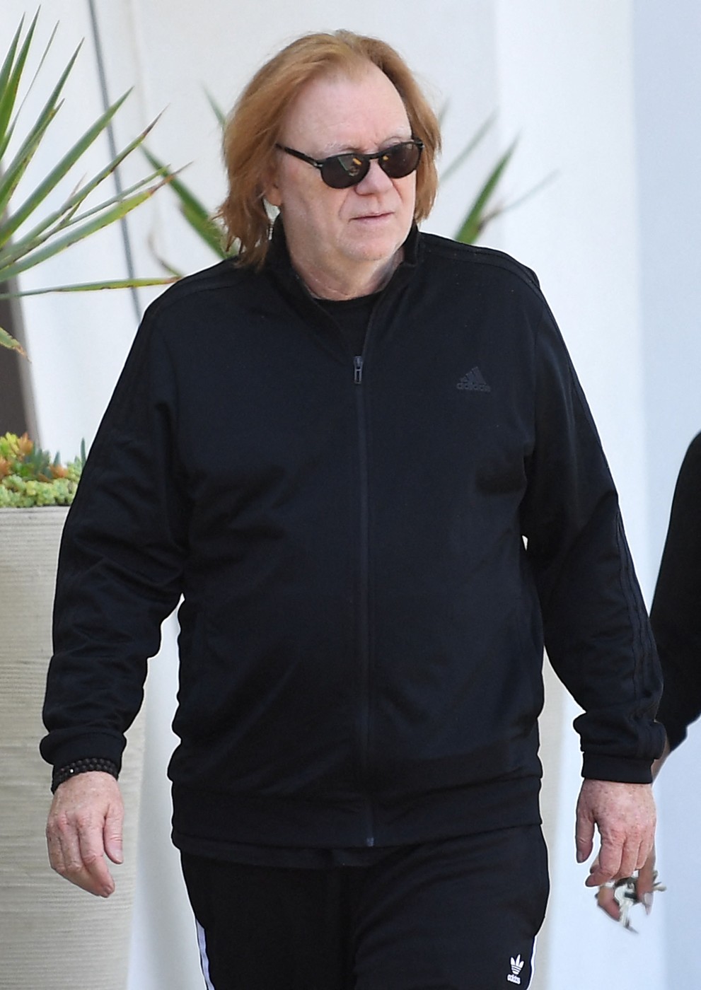 David Caruso
