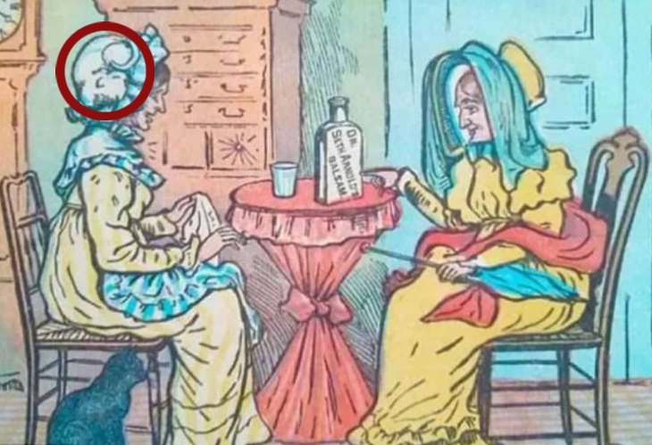 optična iluzija mačka