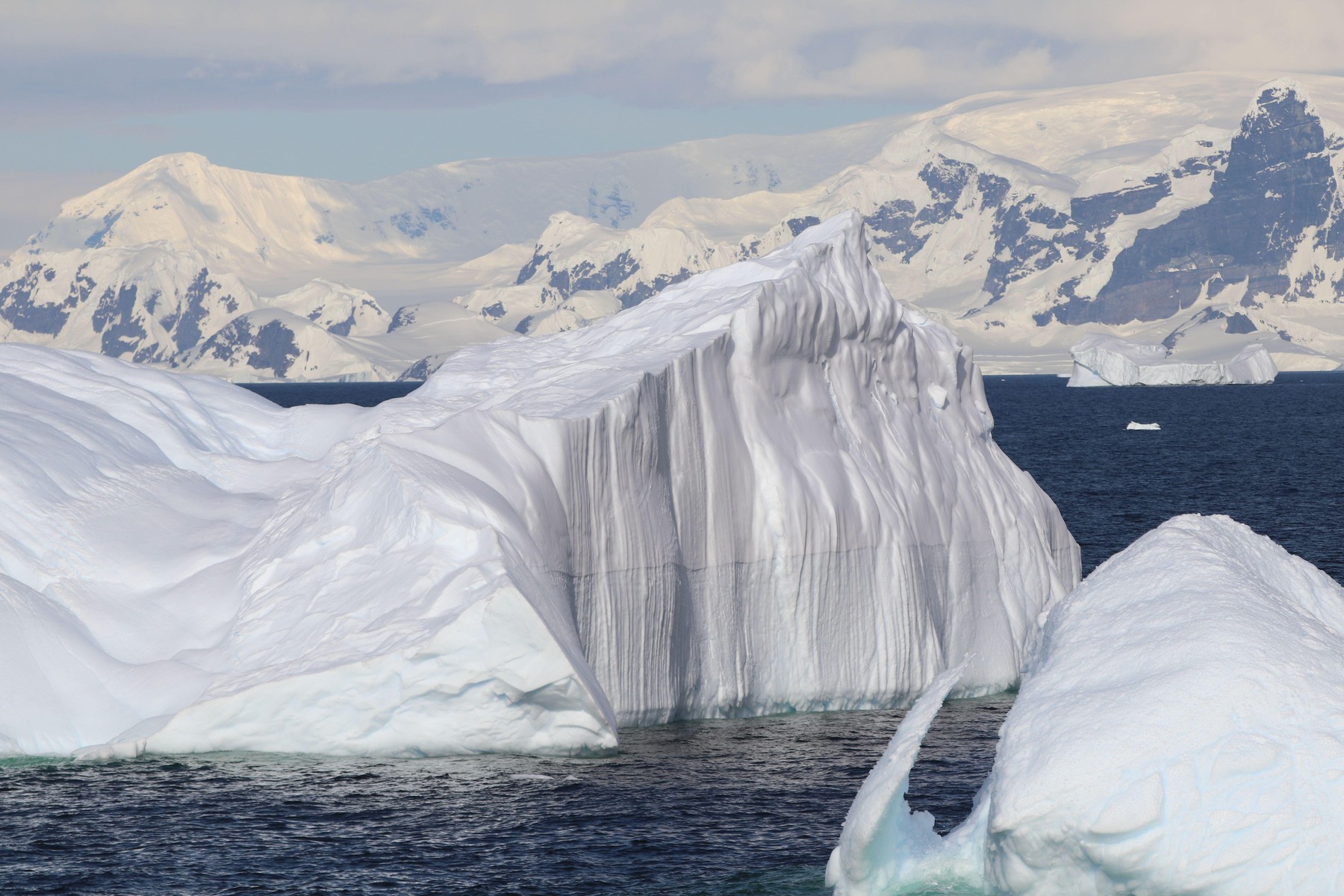 Image: 1064450045, License: Royalty-free, Restrictions: , Model Release: no