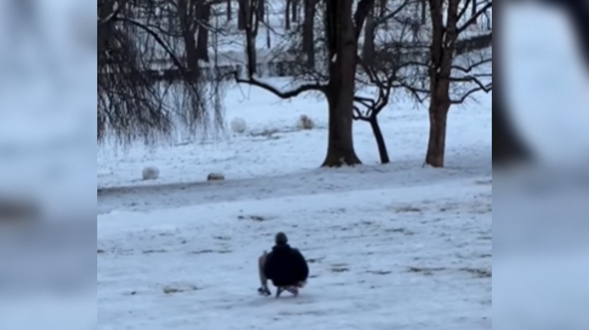 Boban Marjanović na sankah