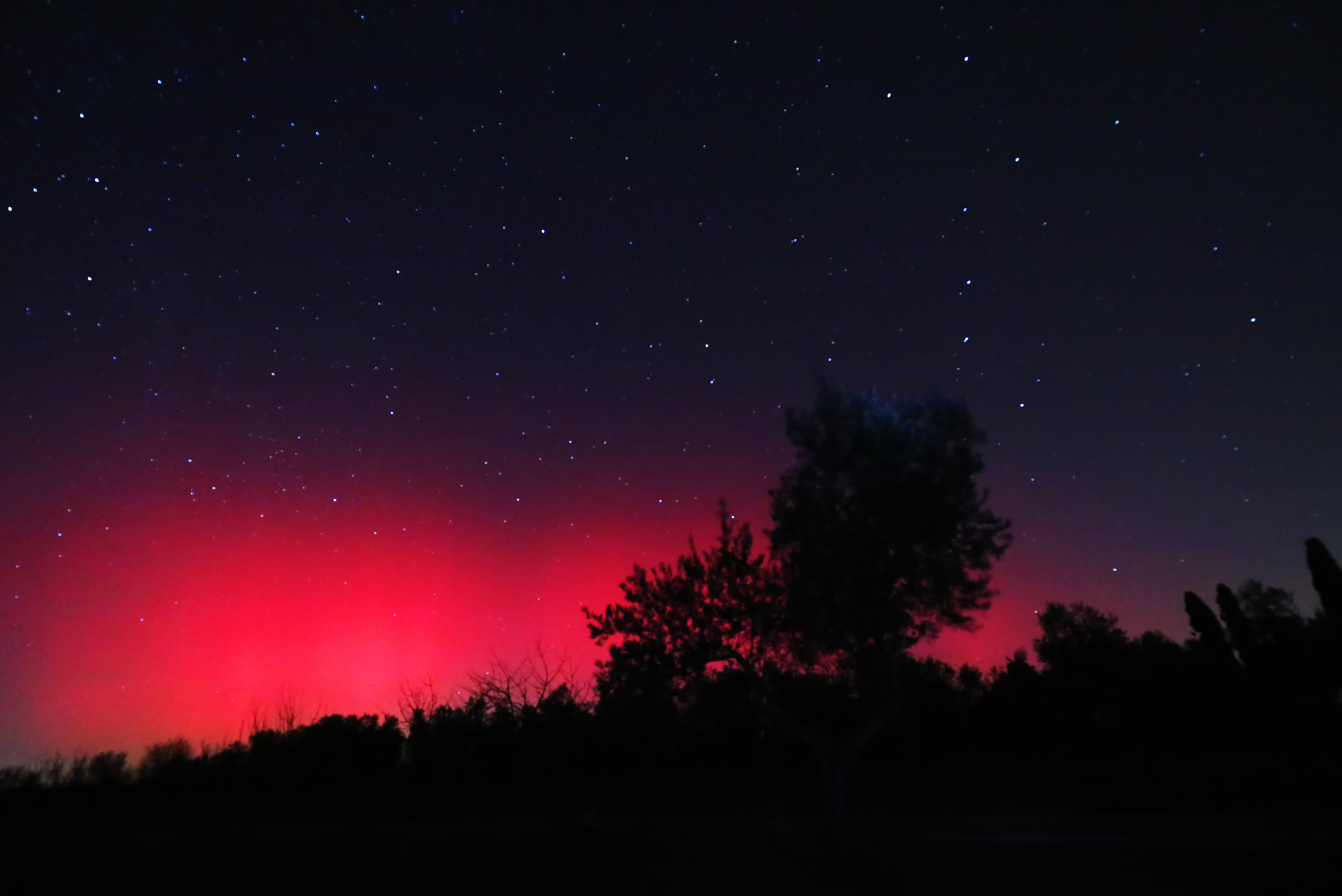 Severni sij na Hrvaškem