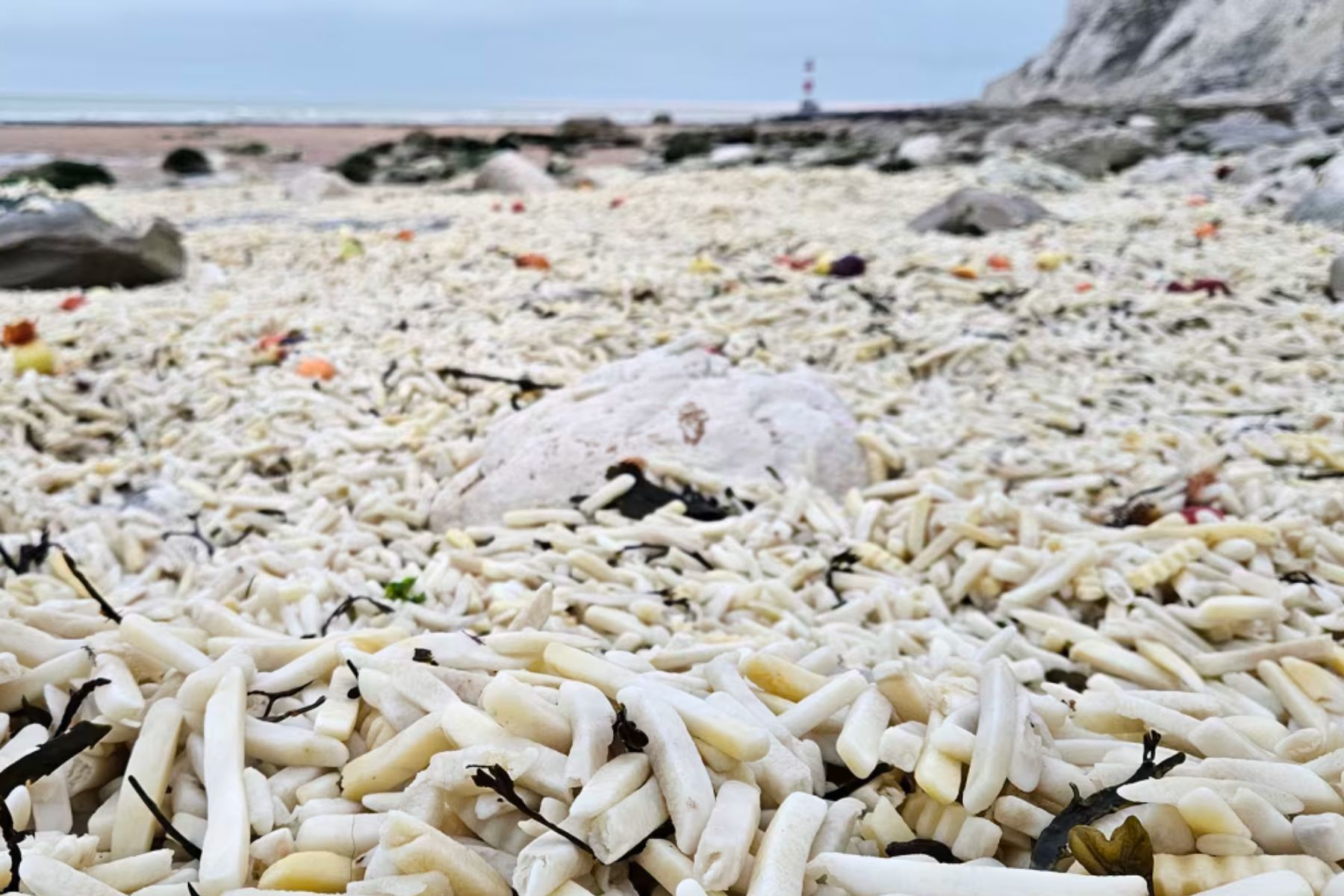 Plaža v Angliji je prekrita s surovim krompirčkom