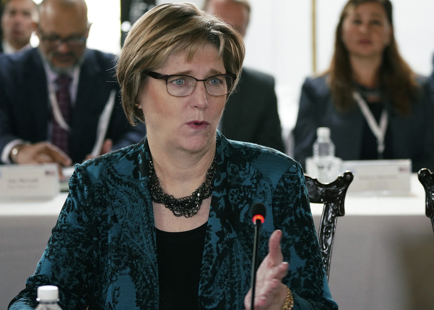 Laura Dogu, vodja diplomatske misije ZDA v Venezueli