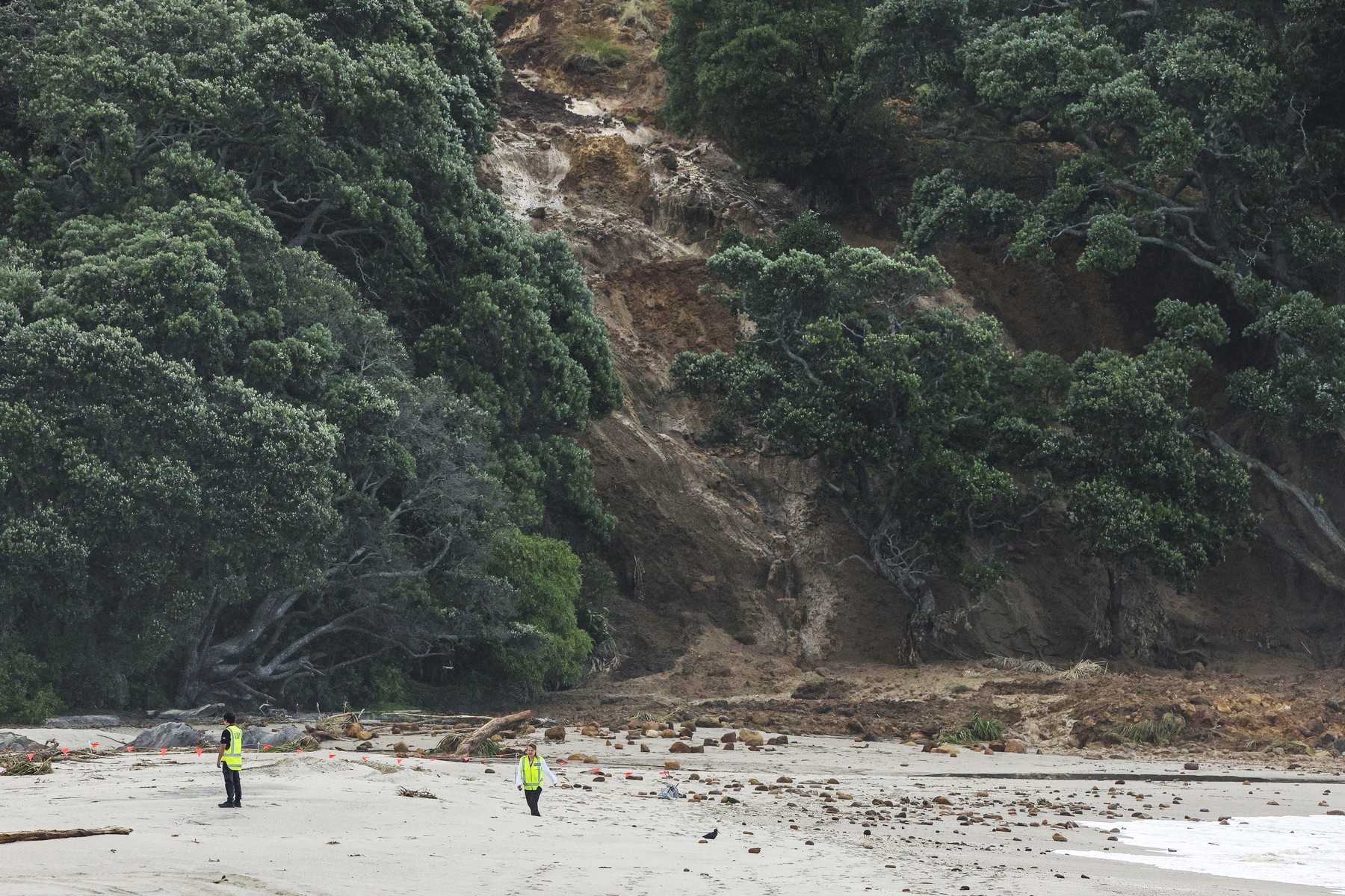 Na Novi Zelandiji se je v sredo sprožil zemeljski plaz