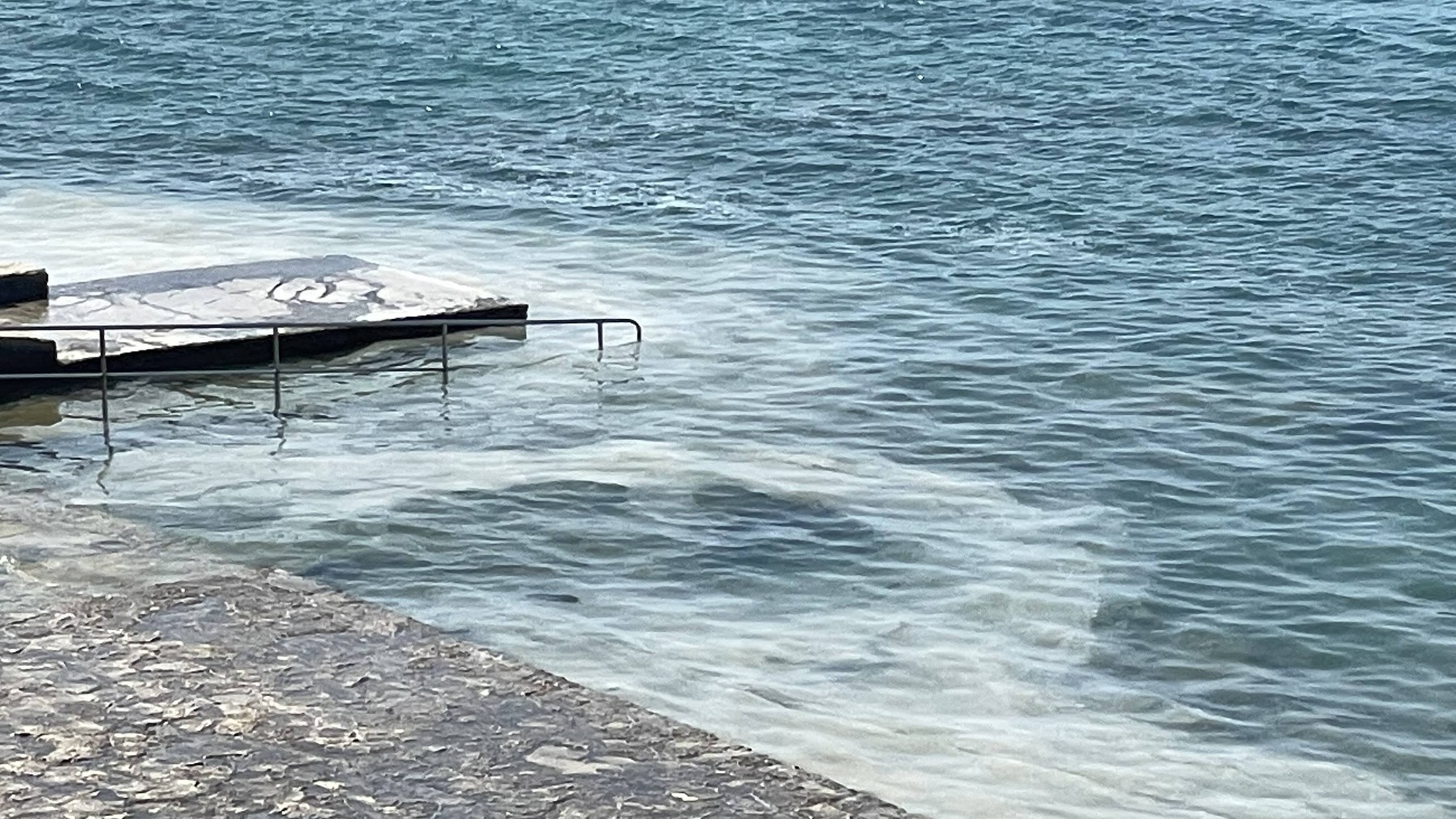 Cvetenje morja, sluzenje morja, Istra, alge