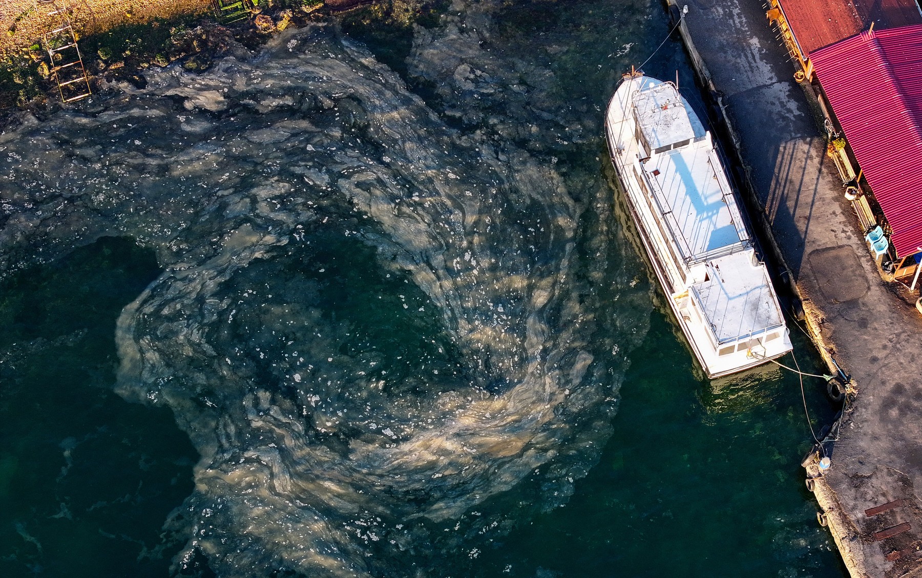 Cvetenje morja, sluzenje morja, alge, Turčija