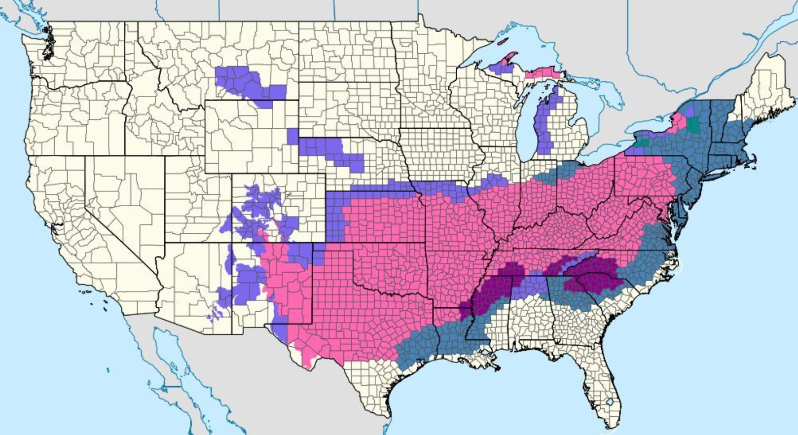 V ZDA razglasili več vremenskih opozoril
