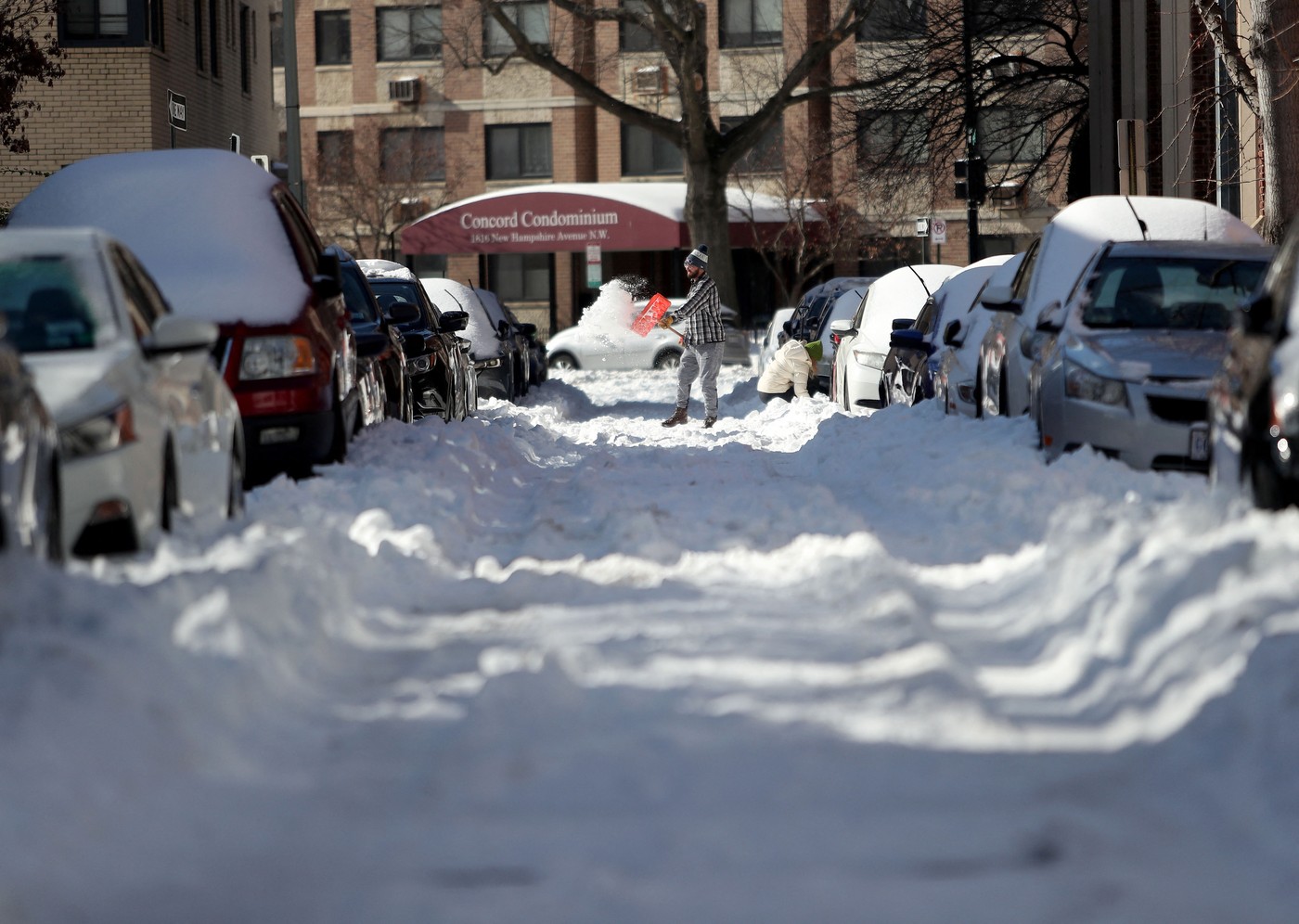 Snežna neurja v ZDA, Washington