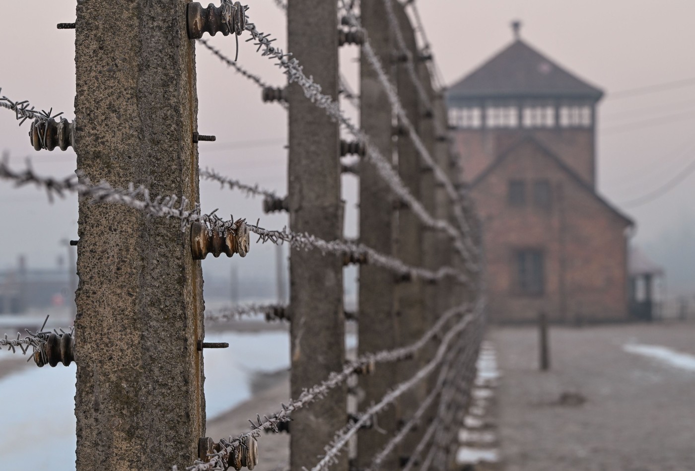 Prizor iz taborišča Auschwitz-Birkenau
