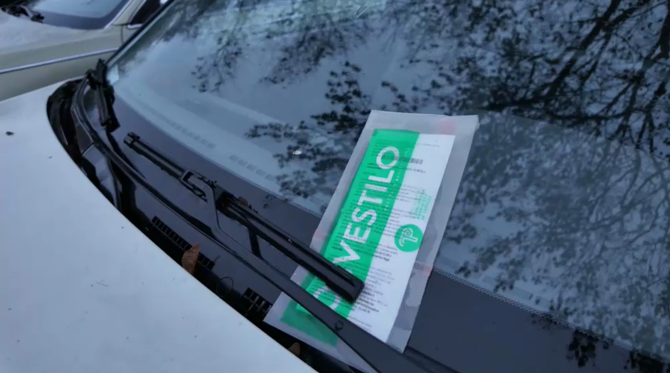 Kazen redarstva v Štepanjskem naselju