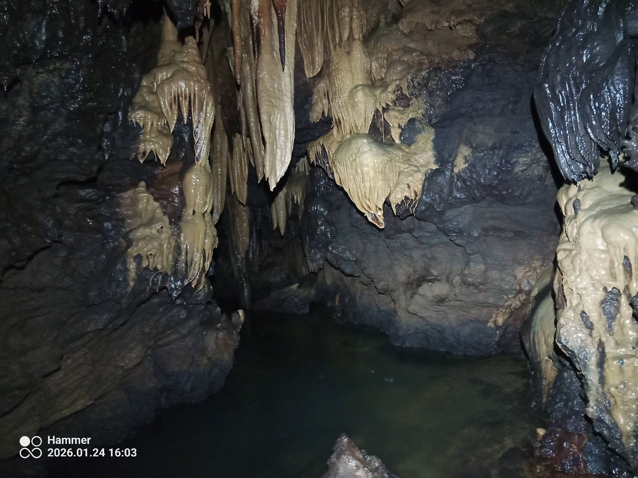 Klubu jamarjev Kostanjevica na Krki je po 60 letih iskanja v teh dneh uspelo veliko odkritje