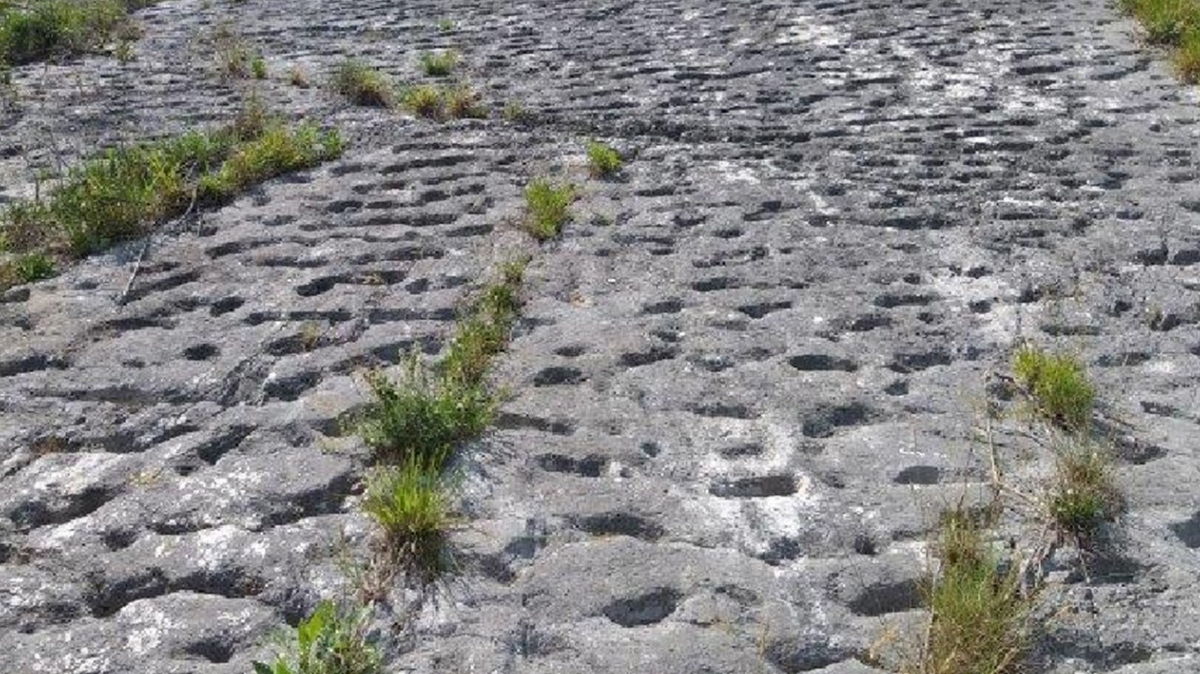 okamenele sledi živali, stare okoli 80 milijonov let na Monte Cornero v Italiji