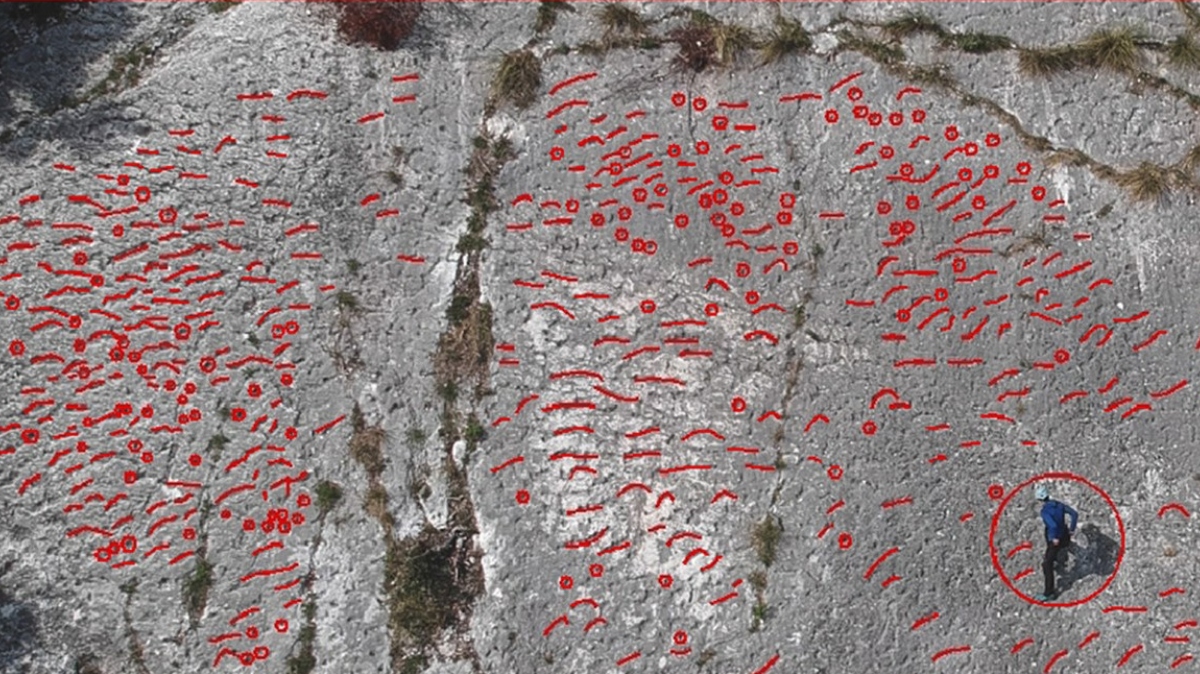 okamenele sledi na Monte Cornero v Italiji, stare okoli 80 milijonov let