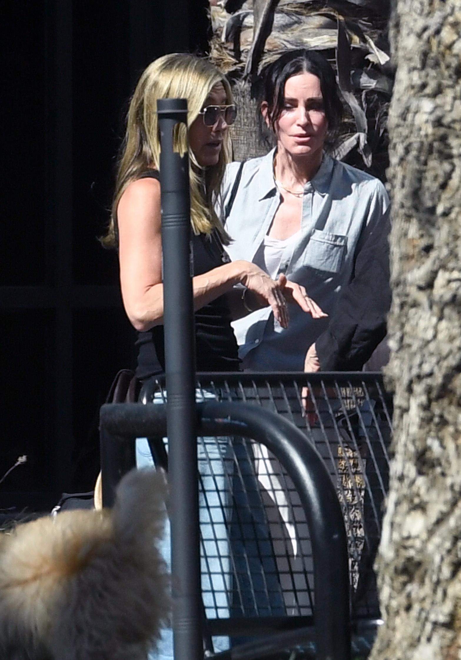 Courteney Cox