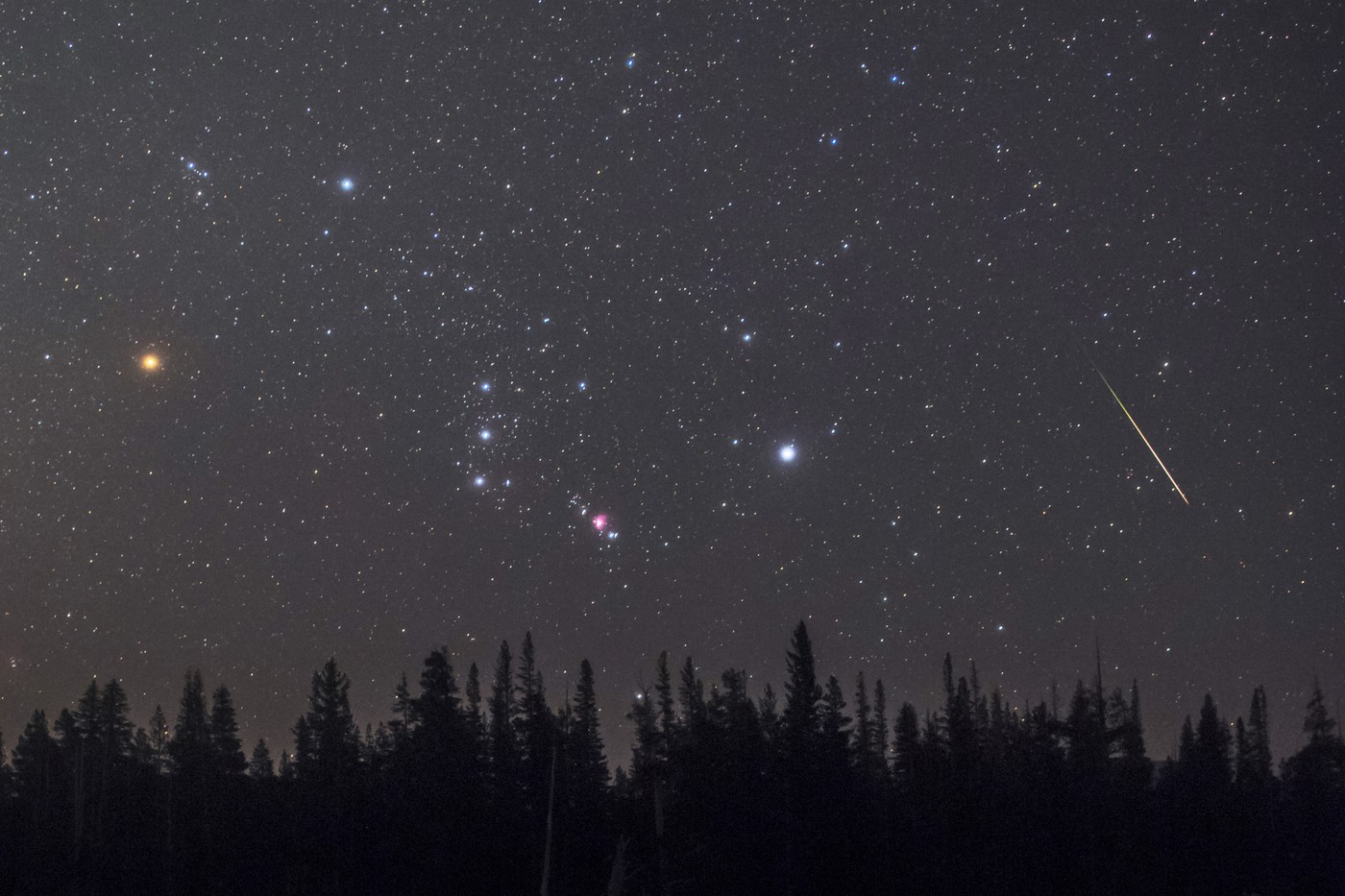 ozvezdje Oriona, (Betelgeza -L; Sirij - D) in meteor