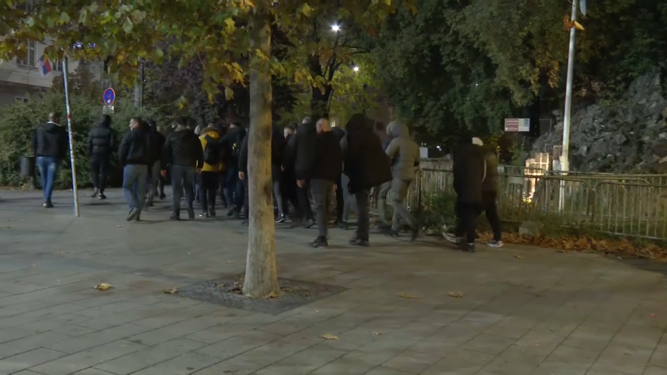 Podporniki SNS ob Pionirskem parku
