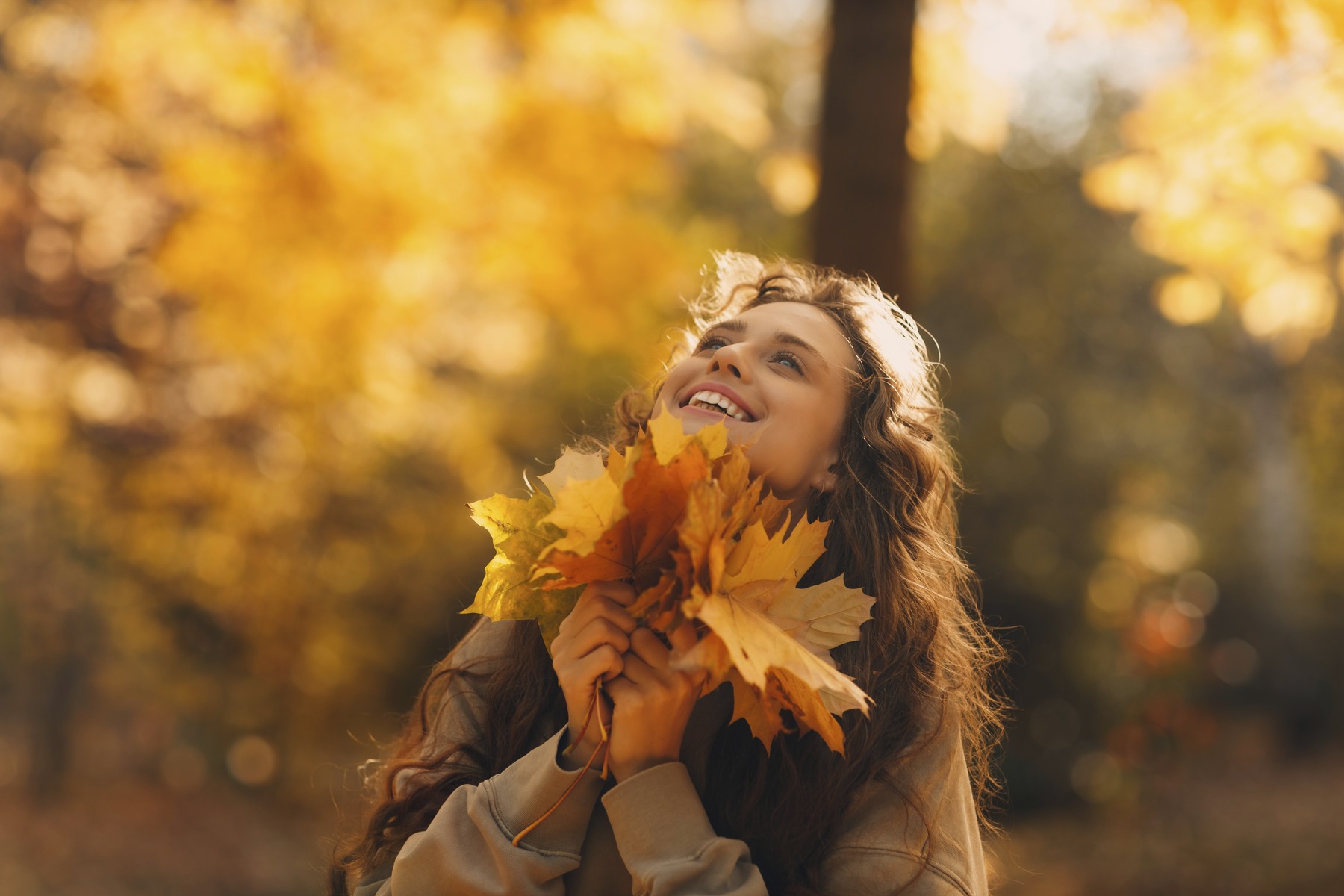 Smiling young woman enjoying the autumn season in the fall park with the yellow leaves at sunset,Image: 1050650202, License: Royalty-free, Restrictions: , Model Release: yes