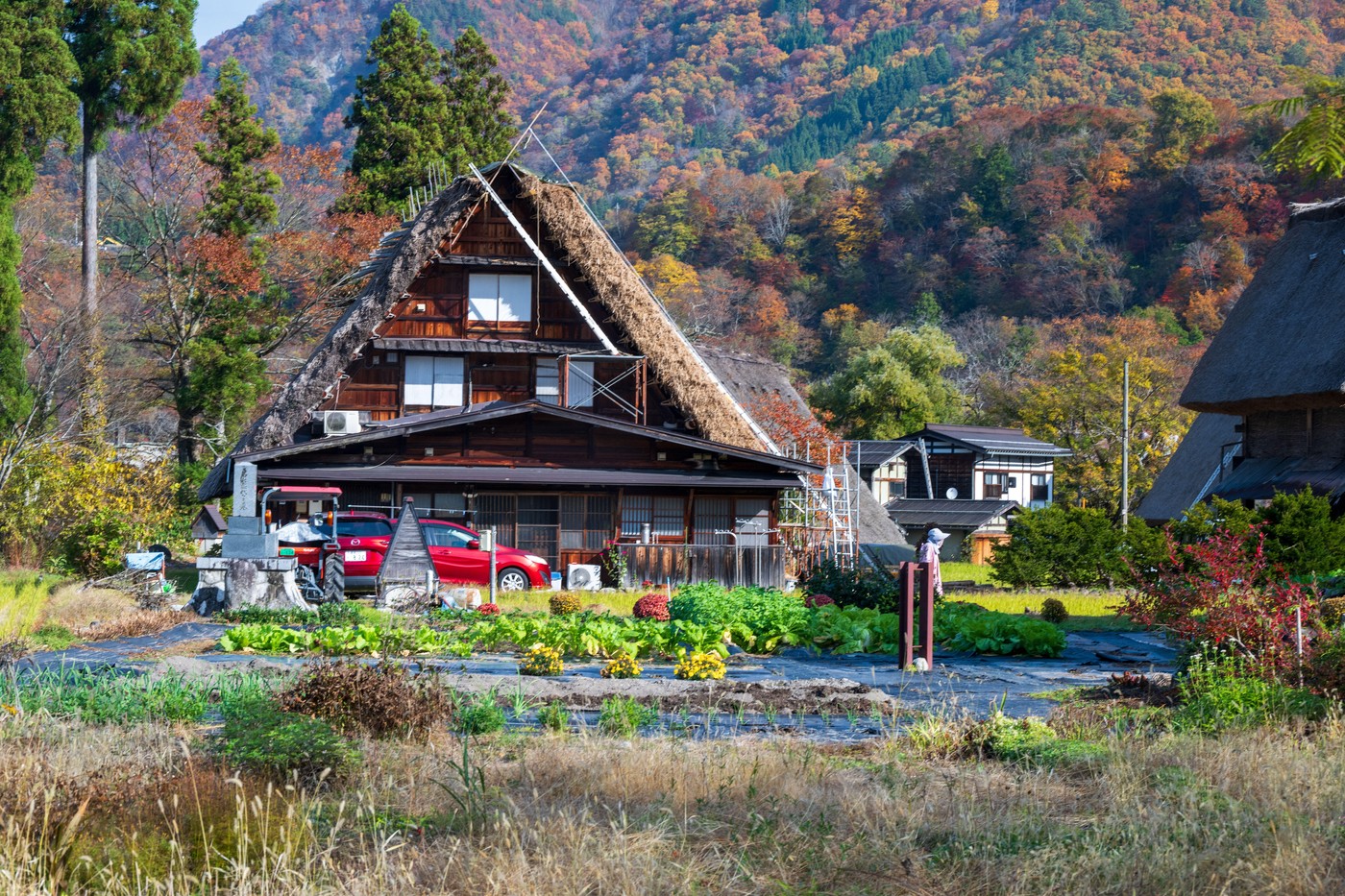 Japonska
