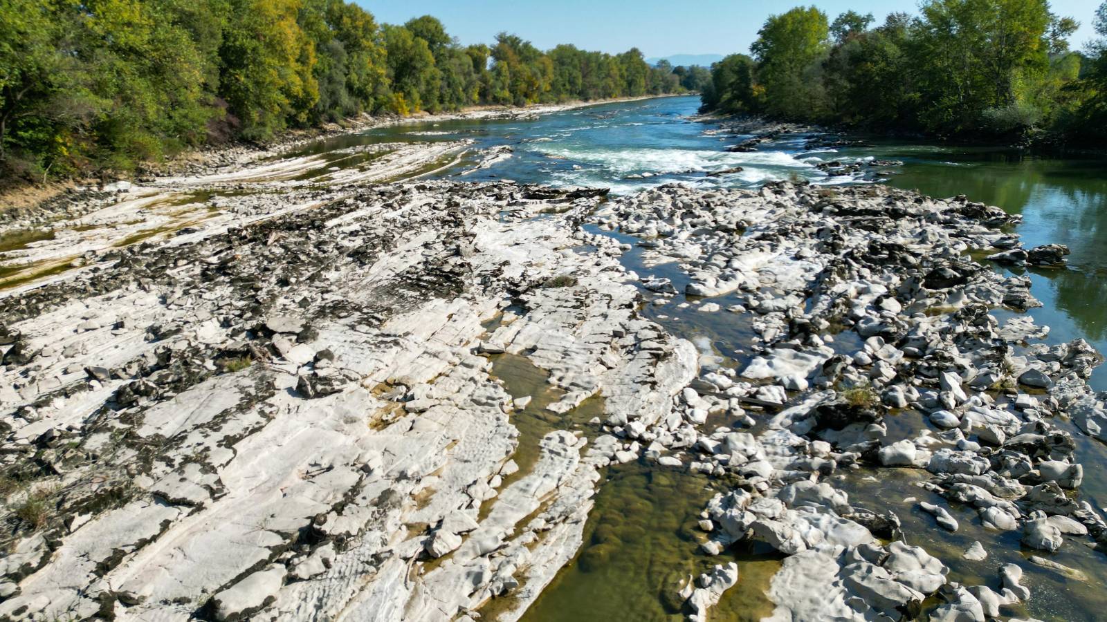 sava Mokrice brzice