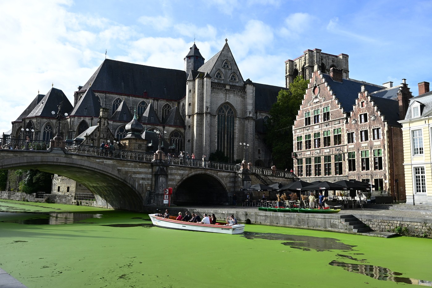 Vodna leča Lys Gent