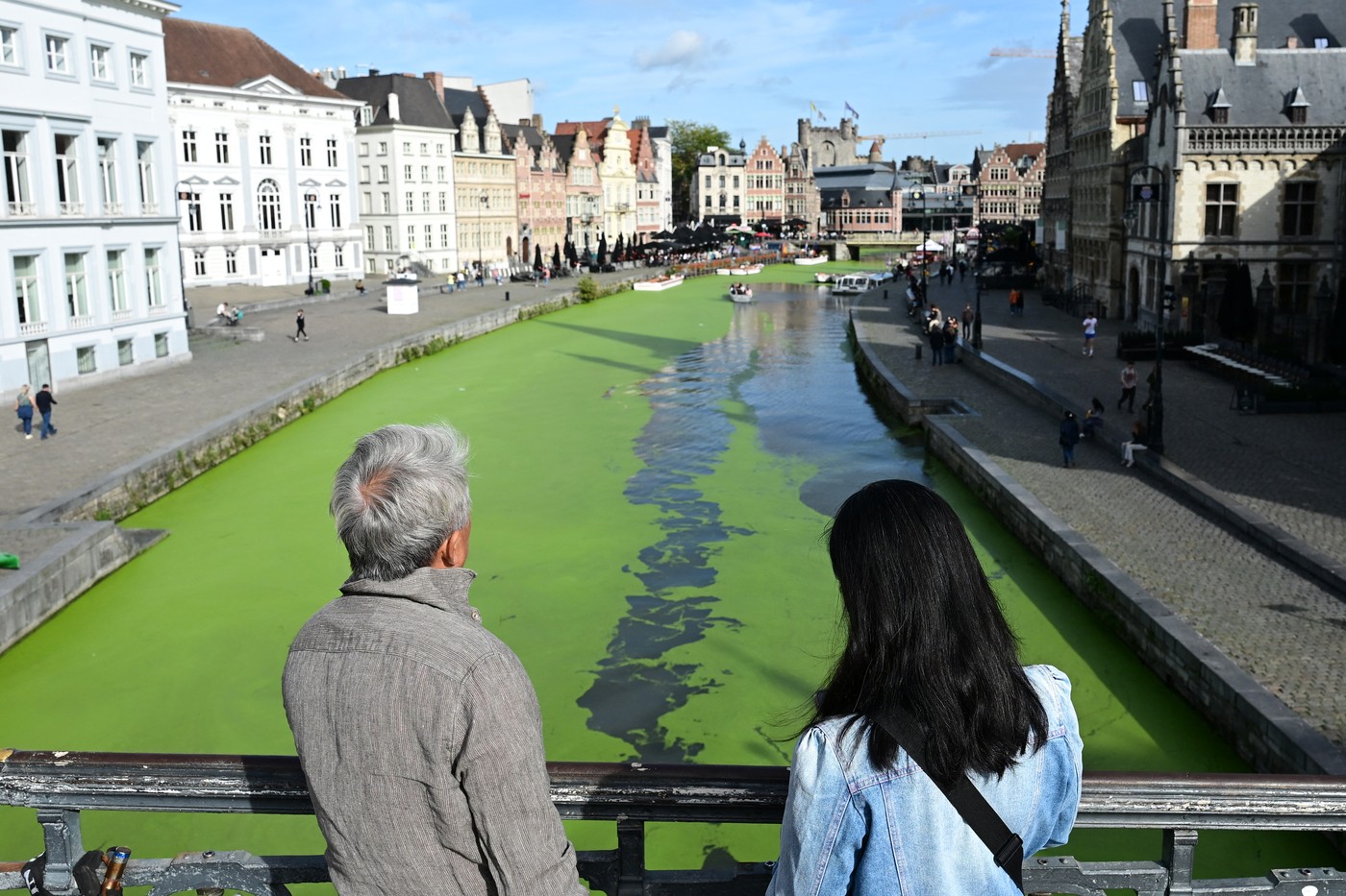 Vodna leča Lys Gent
