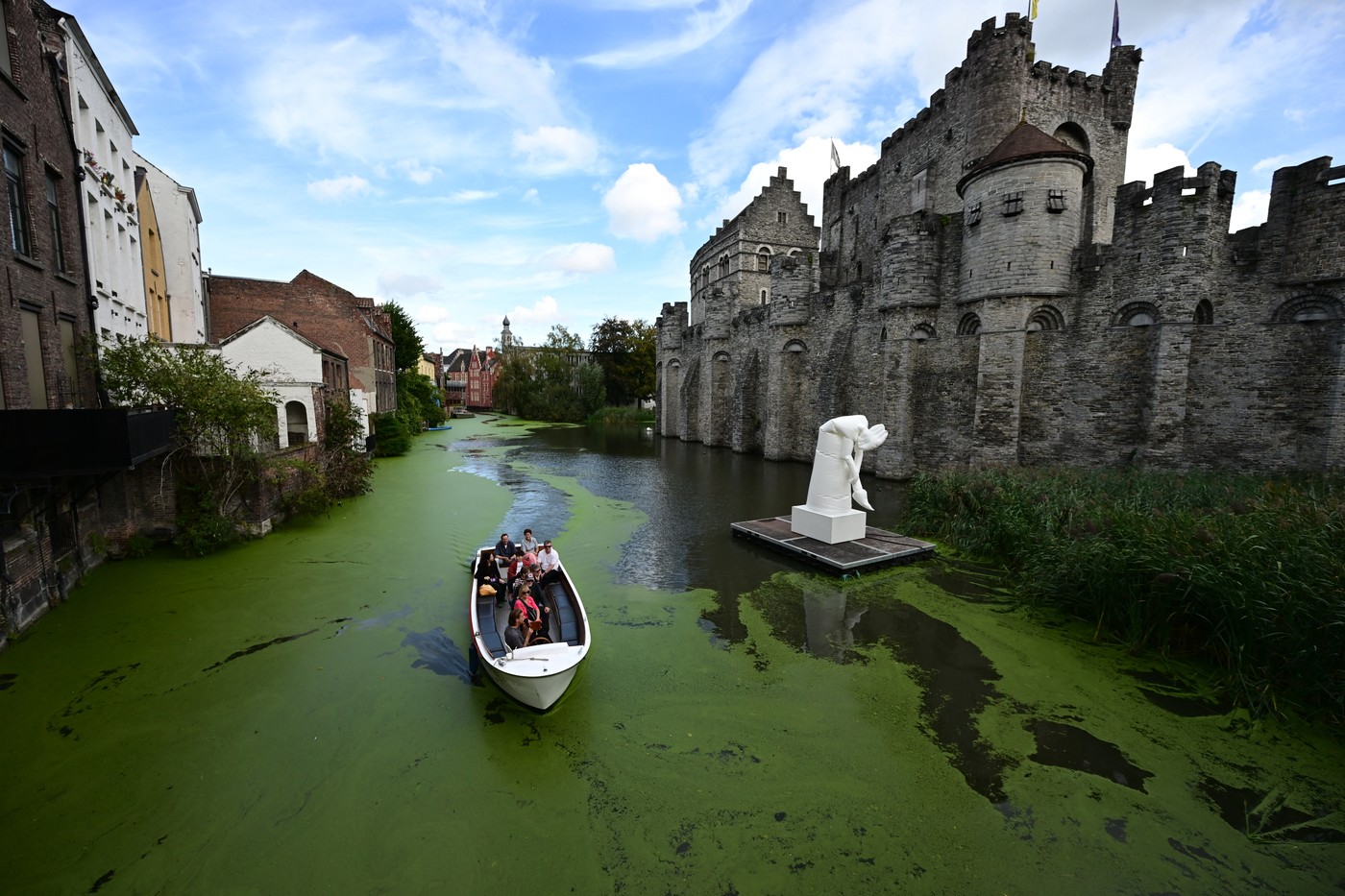 Vodna leča Lys Gent