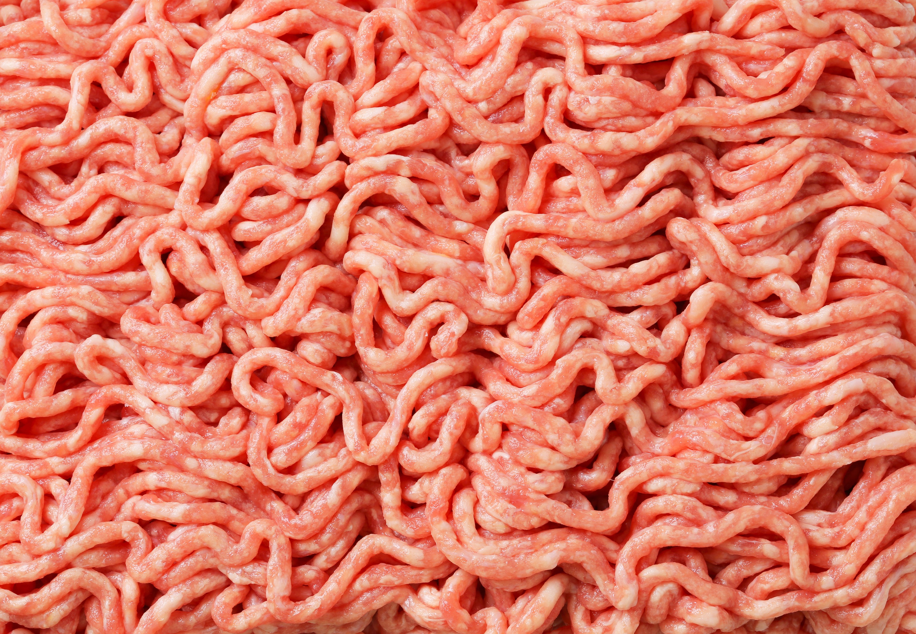 Full frame of raw minced meat,Image: 164947351, License: Rights-managed, Restrictions: , Model Release: no