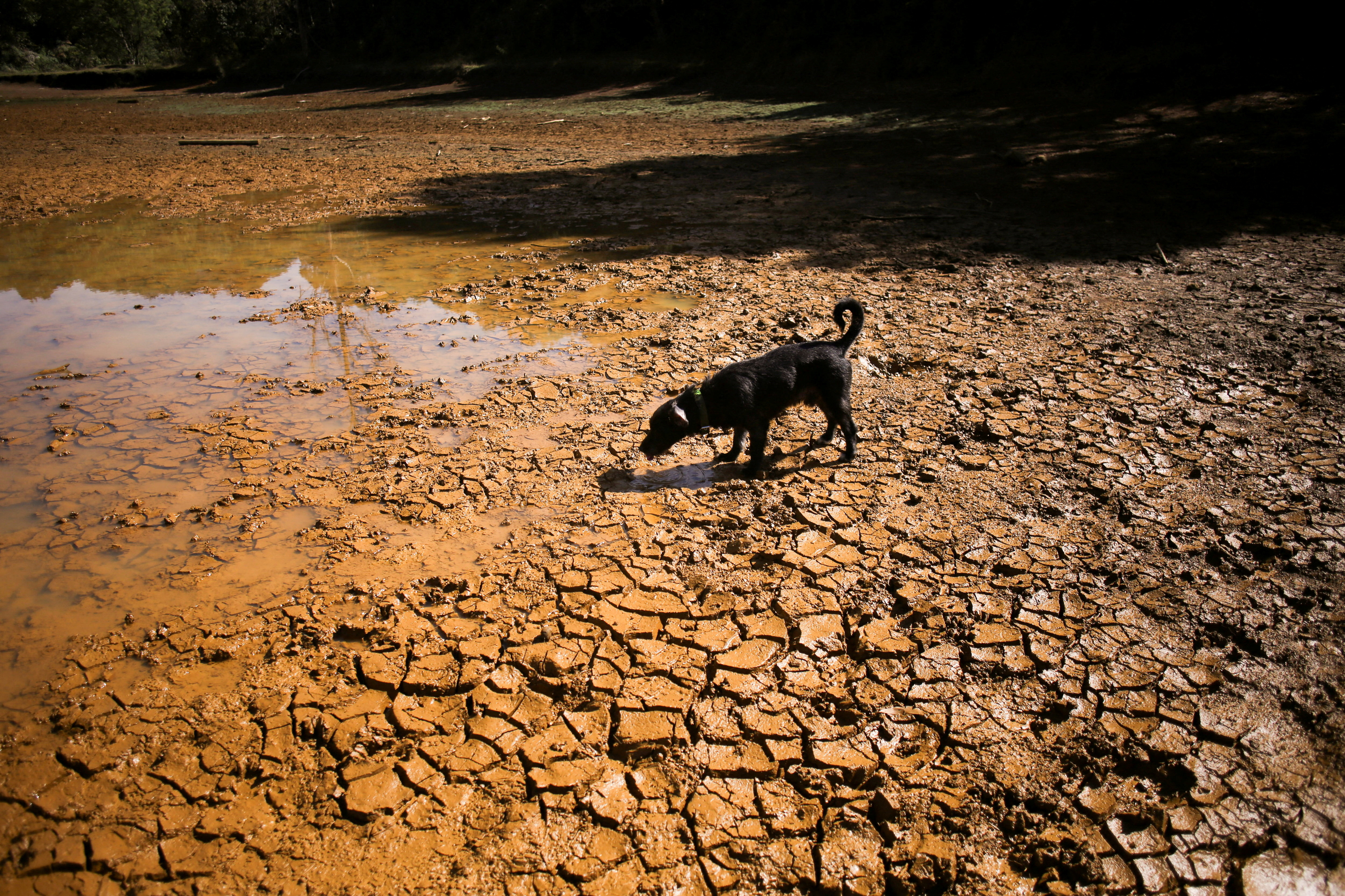 Suša in el niño
