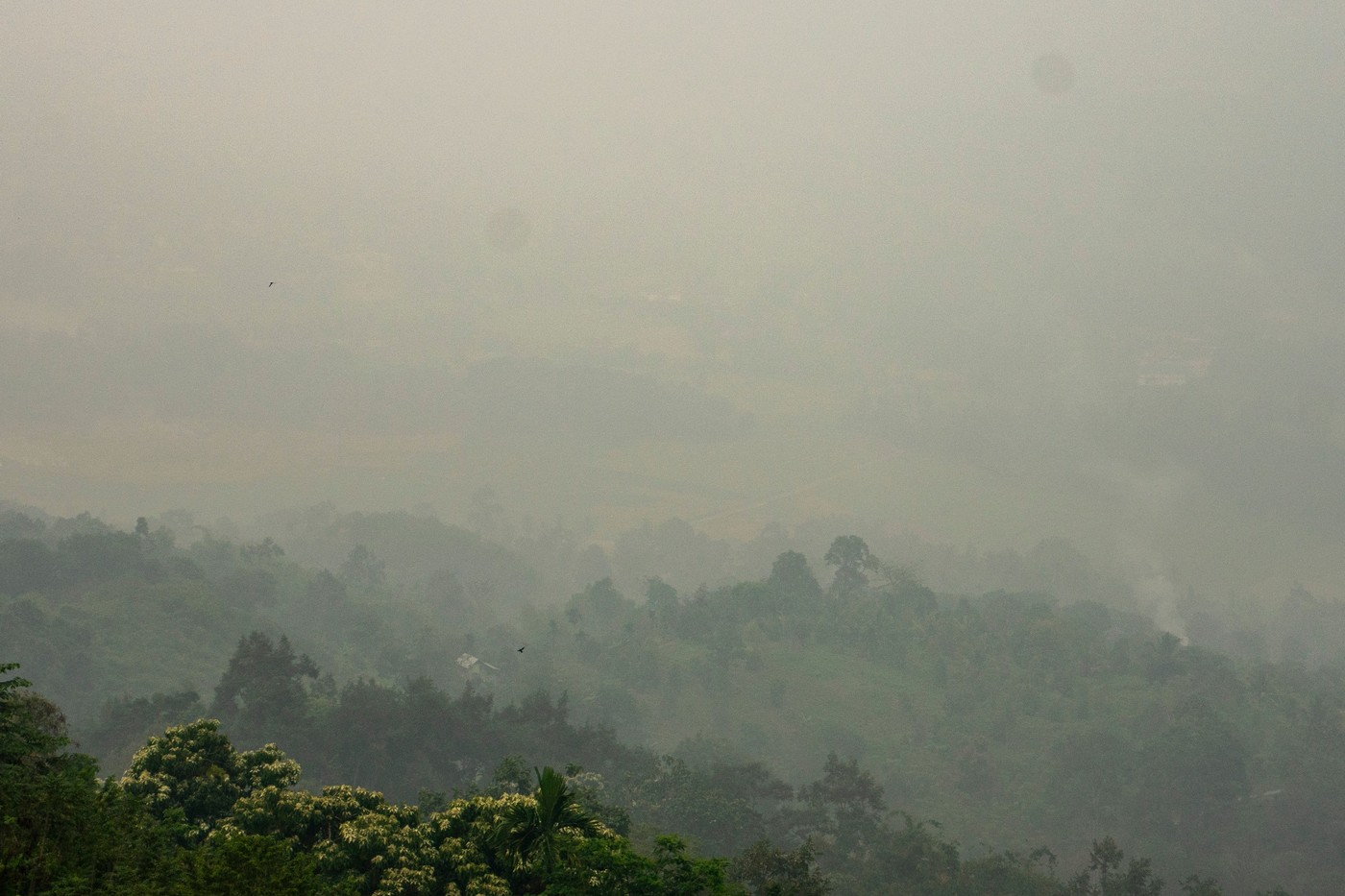 Indonezija