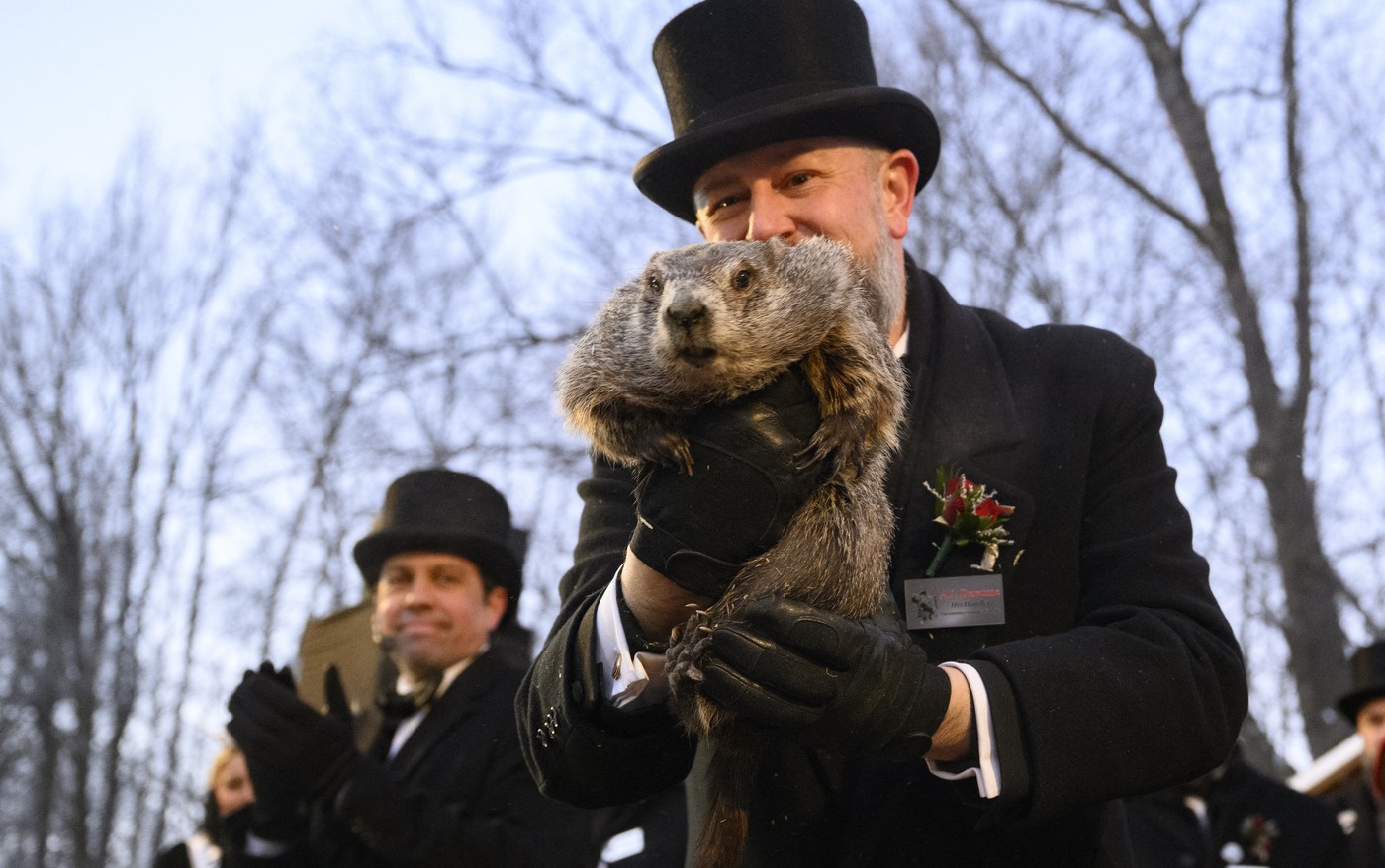 Punxsutawney Phil napovedal vreme za zimo 2026