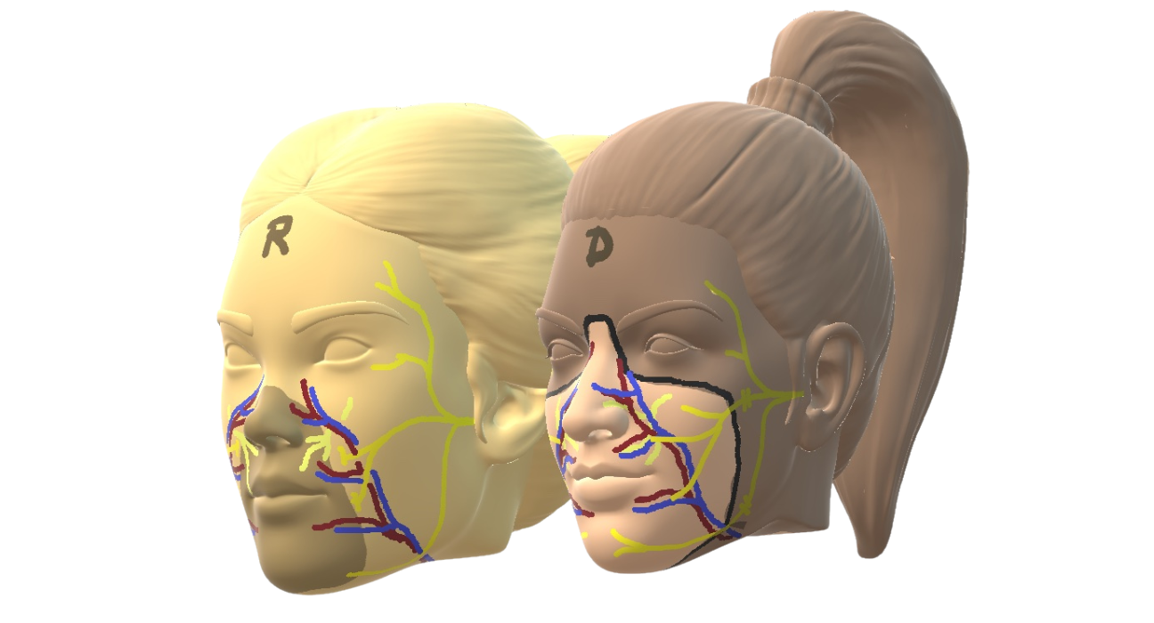Presaditev obraza v Španiji