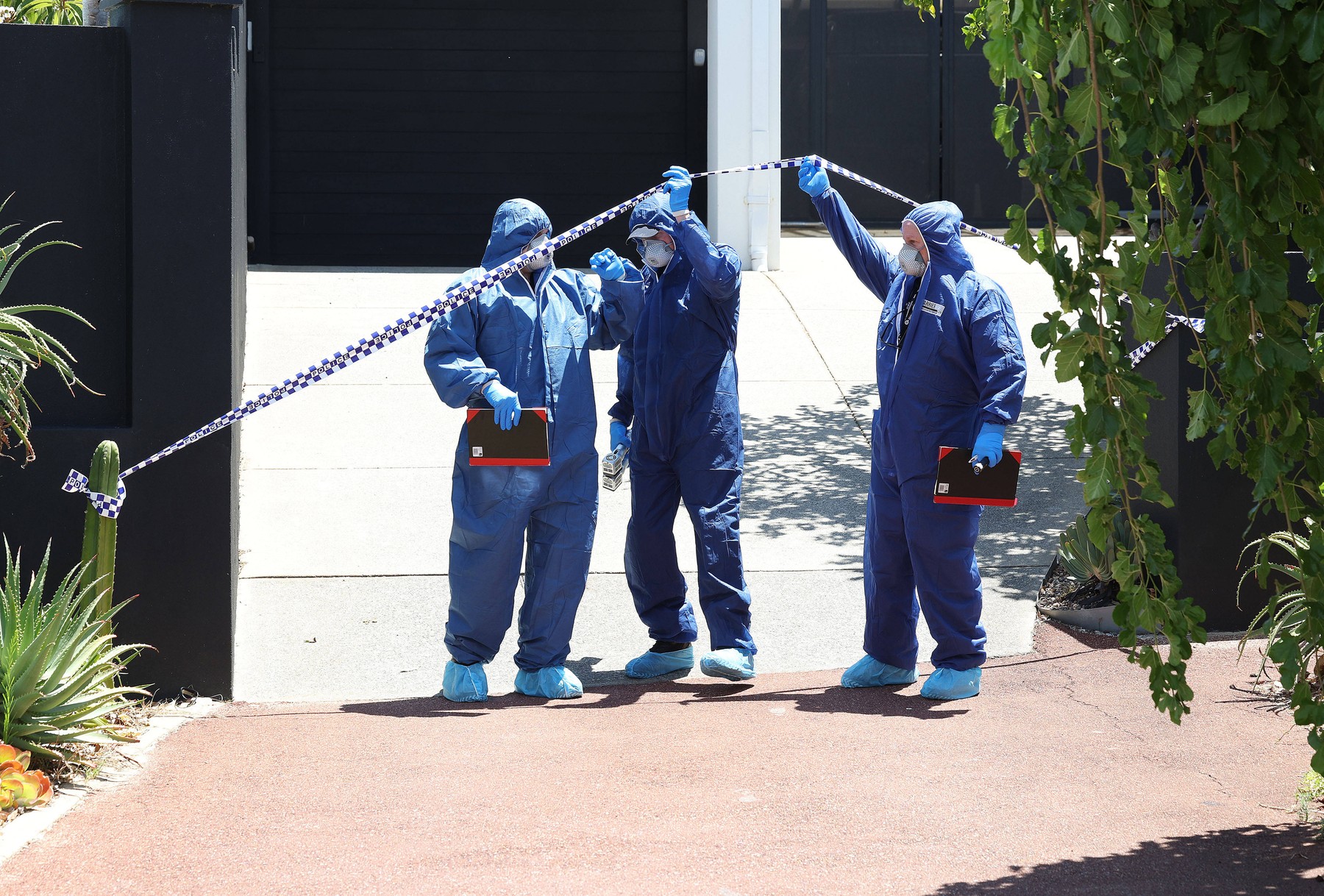 Umor-samomor v Mosman Parku