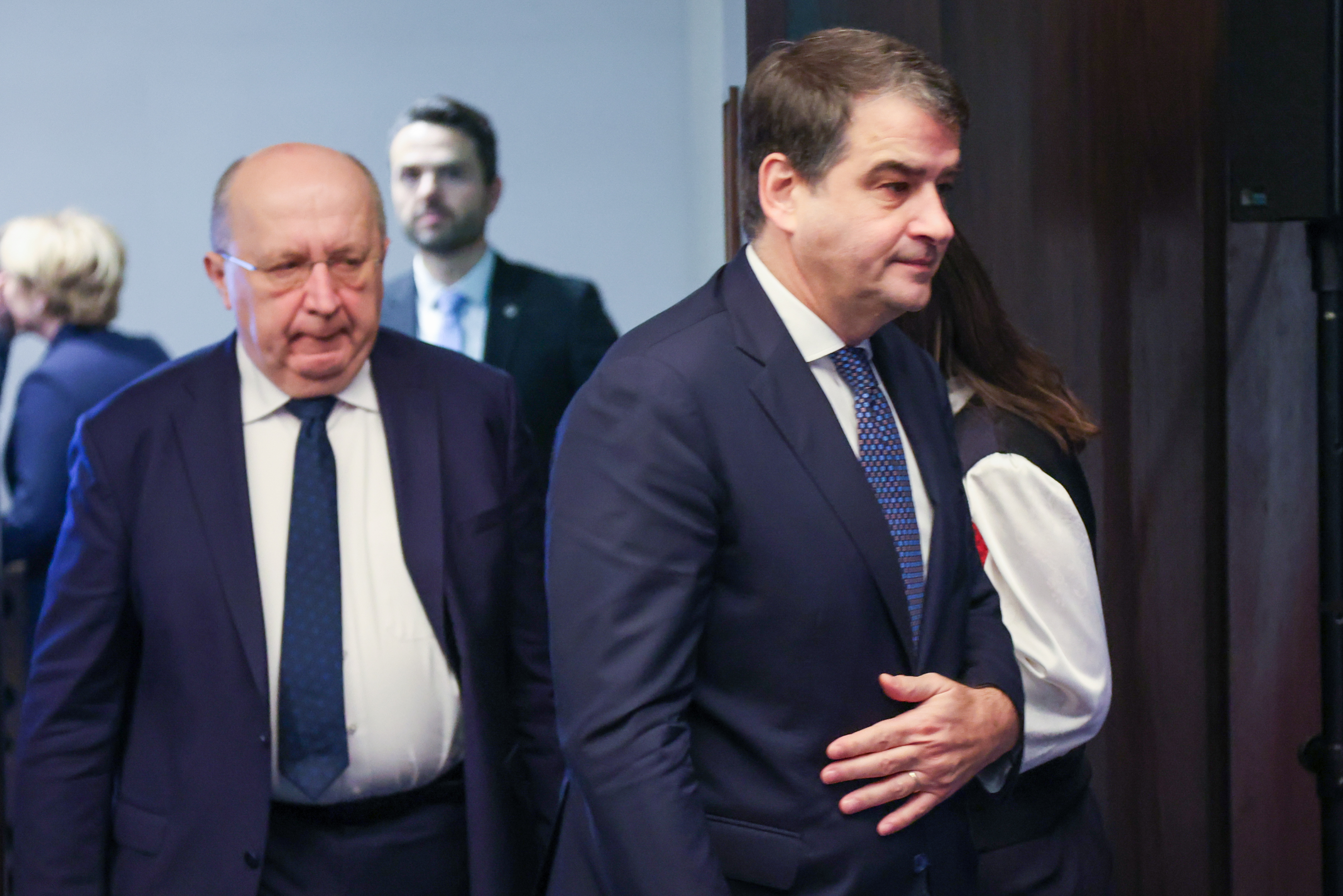 Rafaele Fitto in Andrius Kubilius