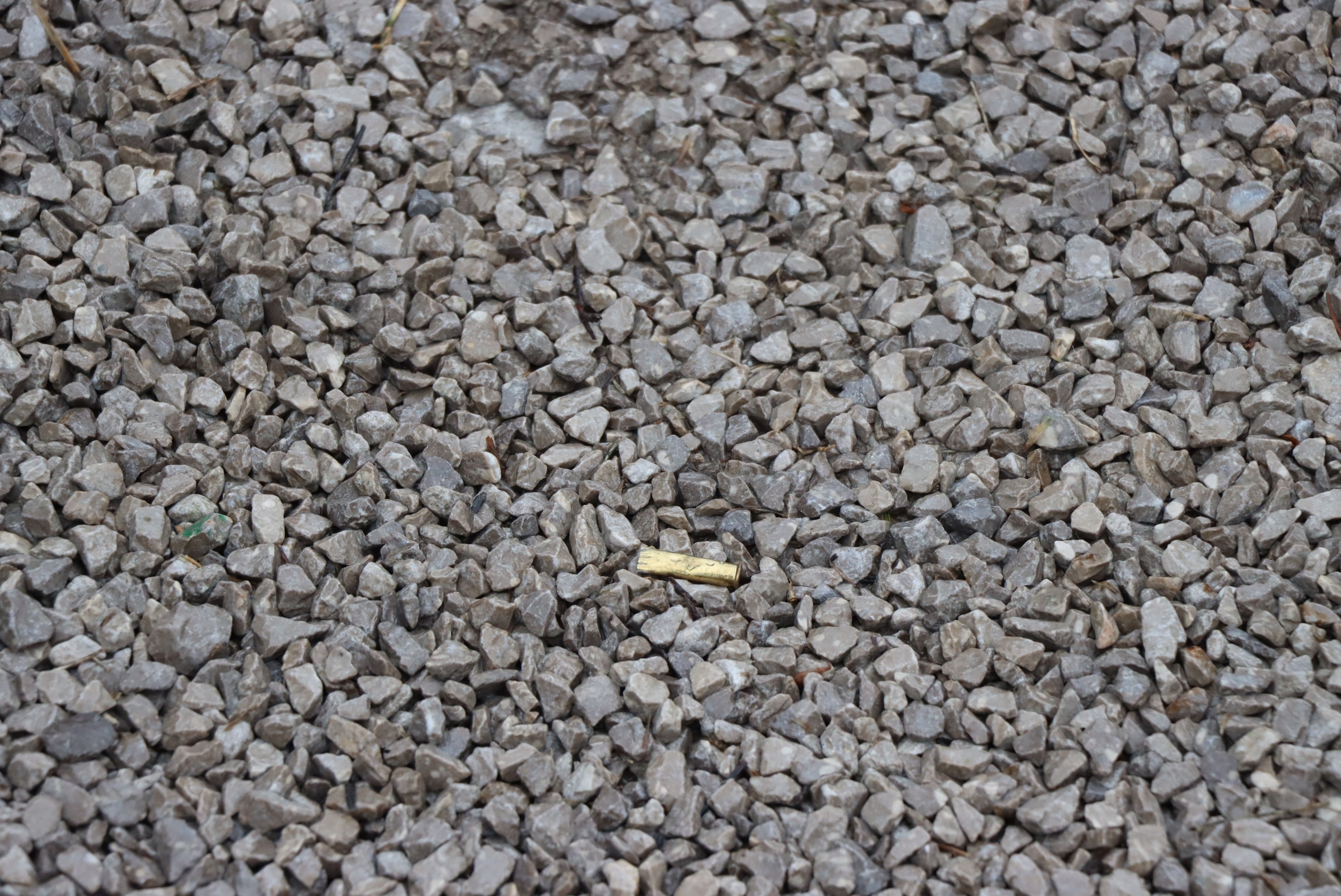 Tulci v okolici hiše ovadenega 58-letnika