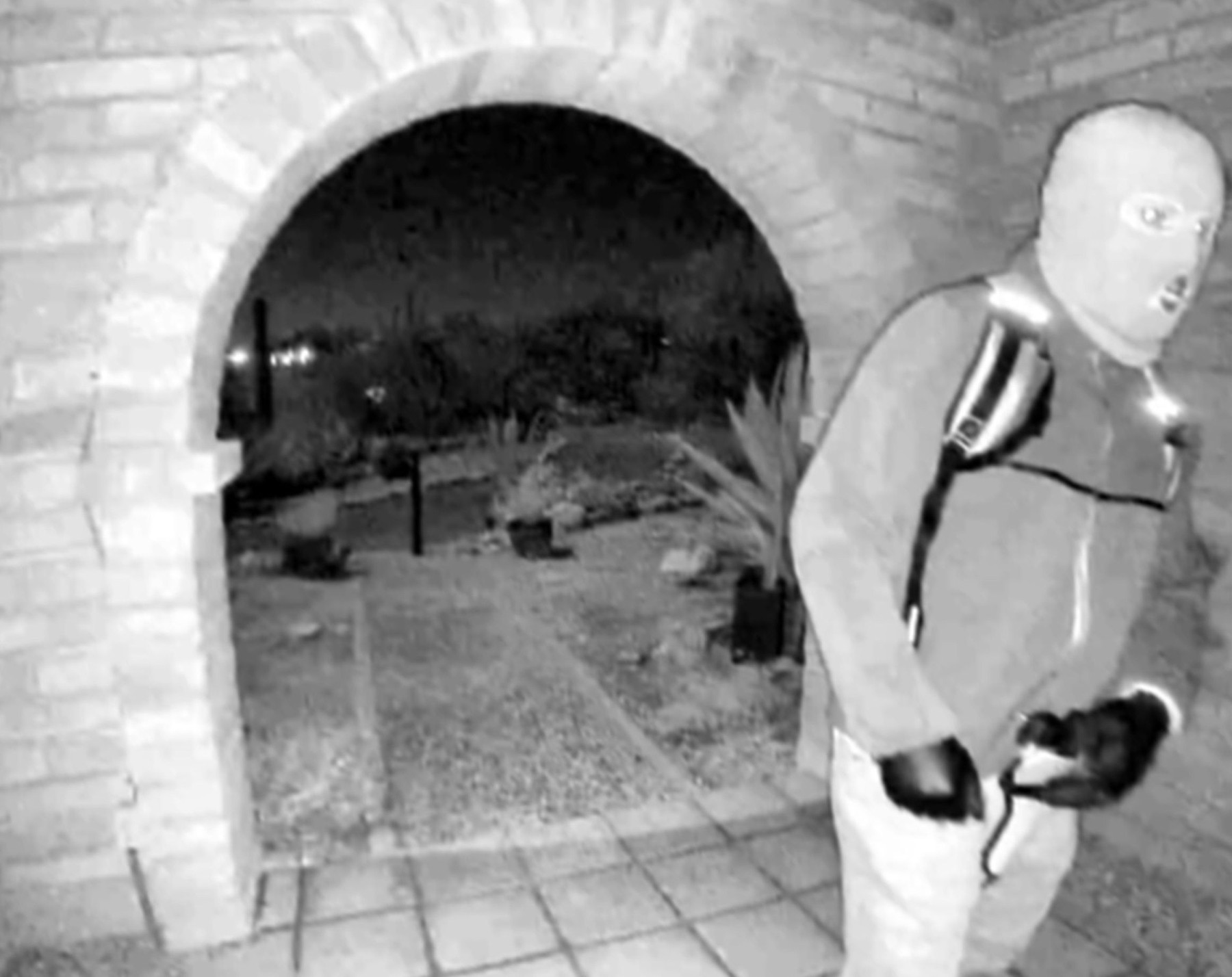 Izginotje Nancy Guthrie