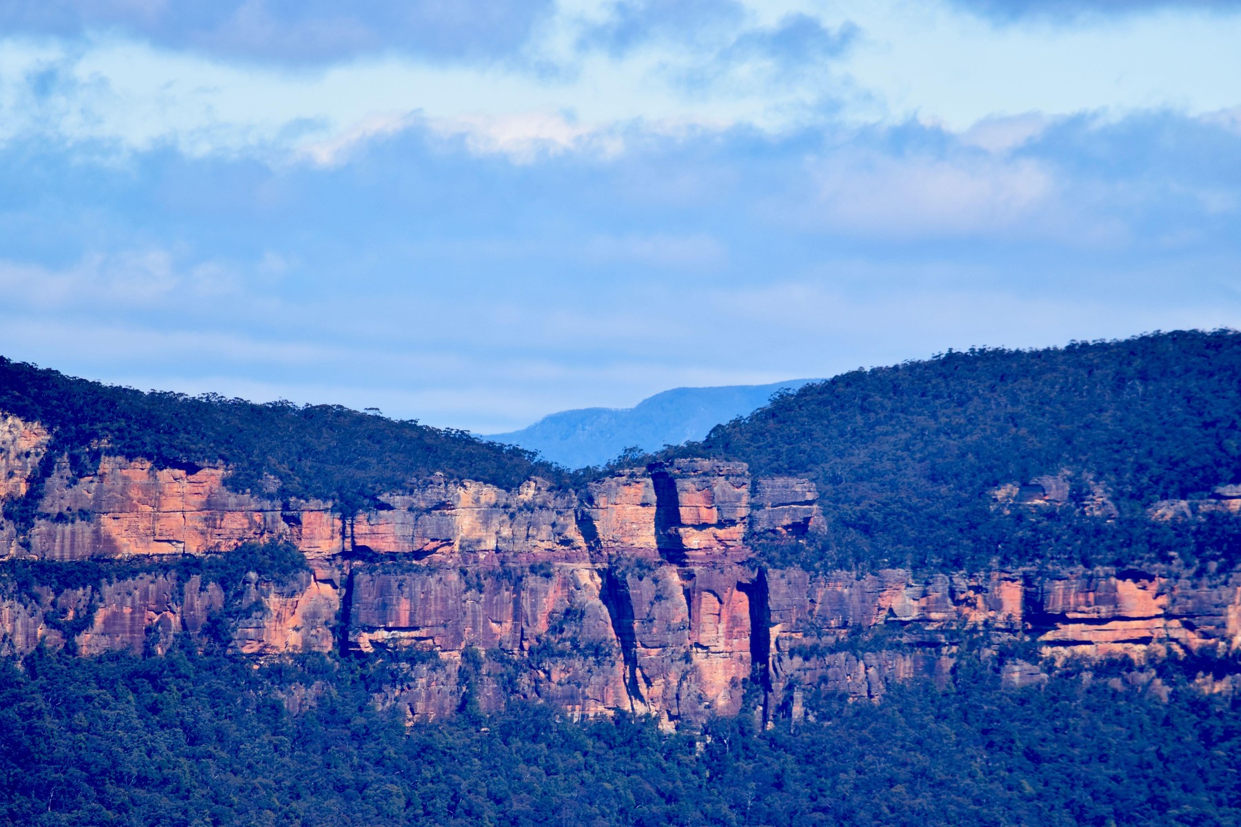 Modre gore v Avstraliji