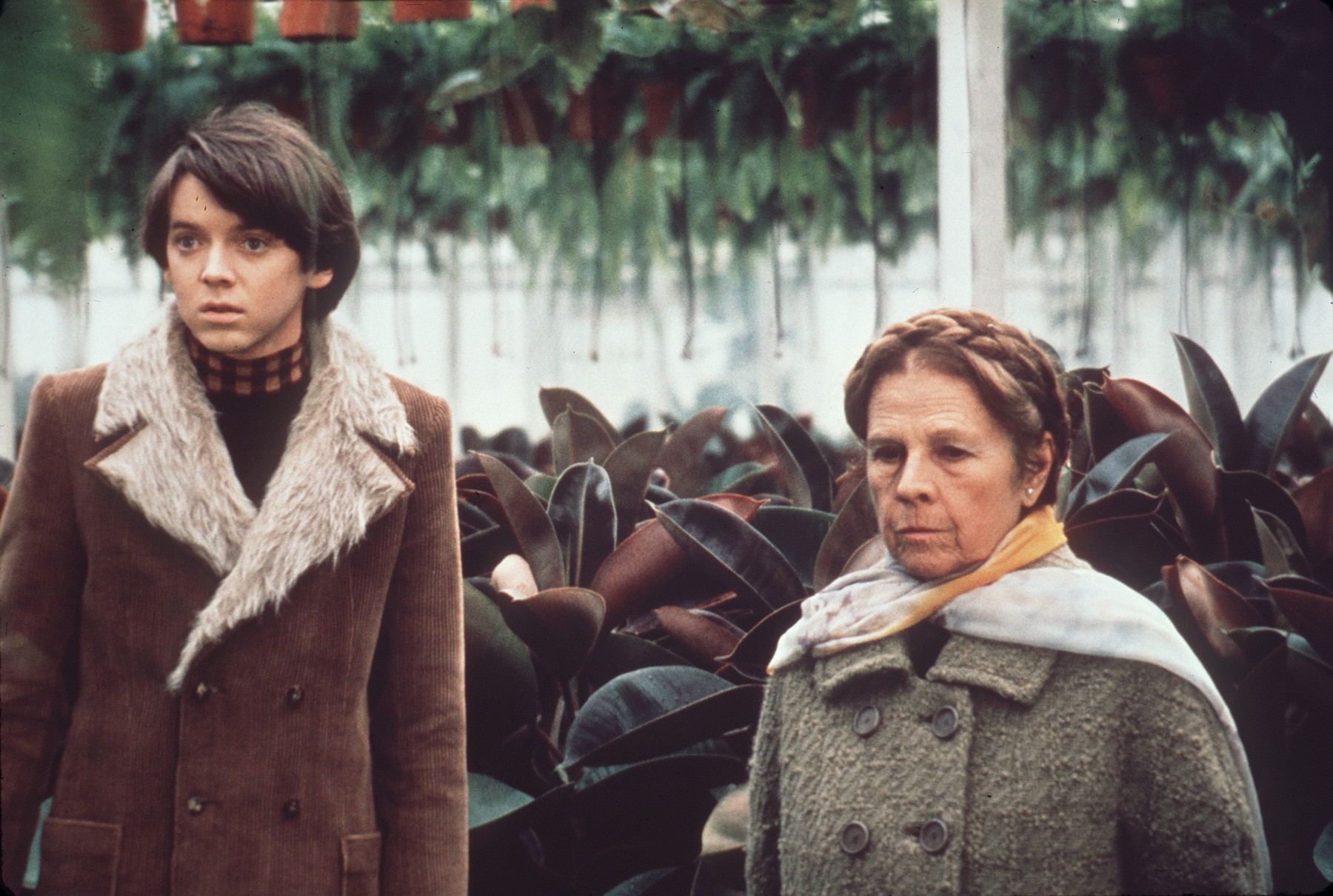 Prizor iz filma Harold in Maude