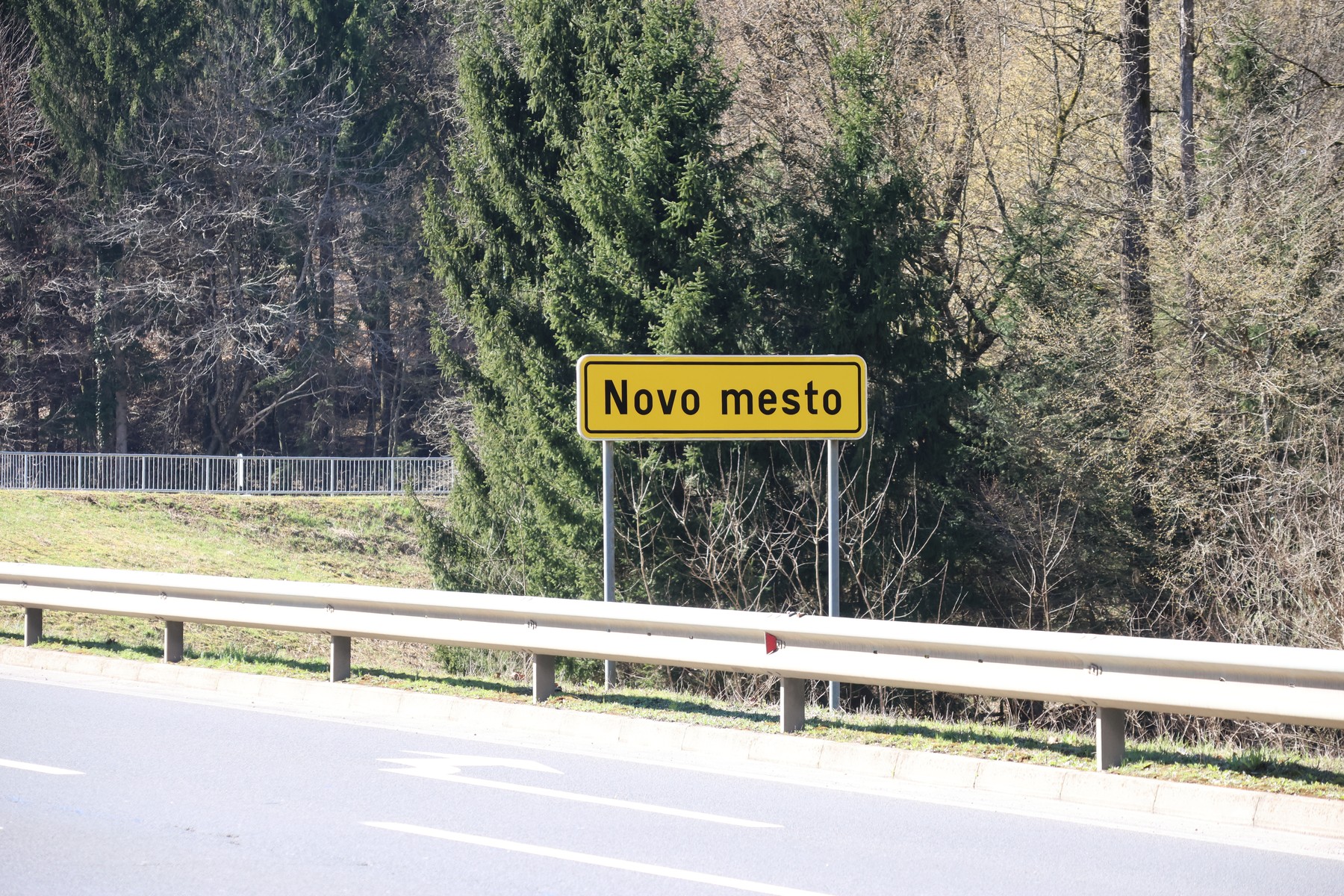 Novo mesto, splošna