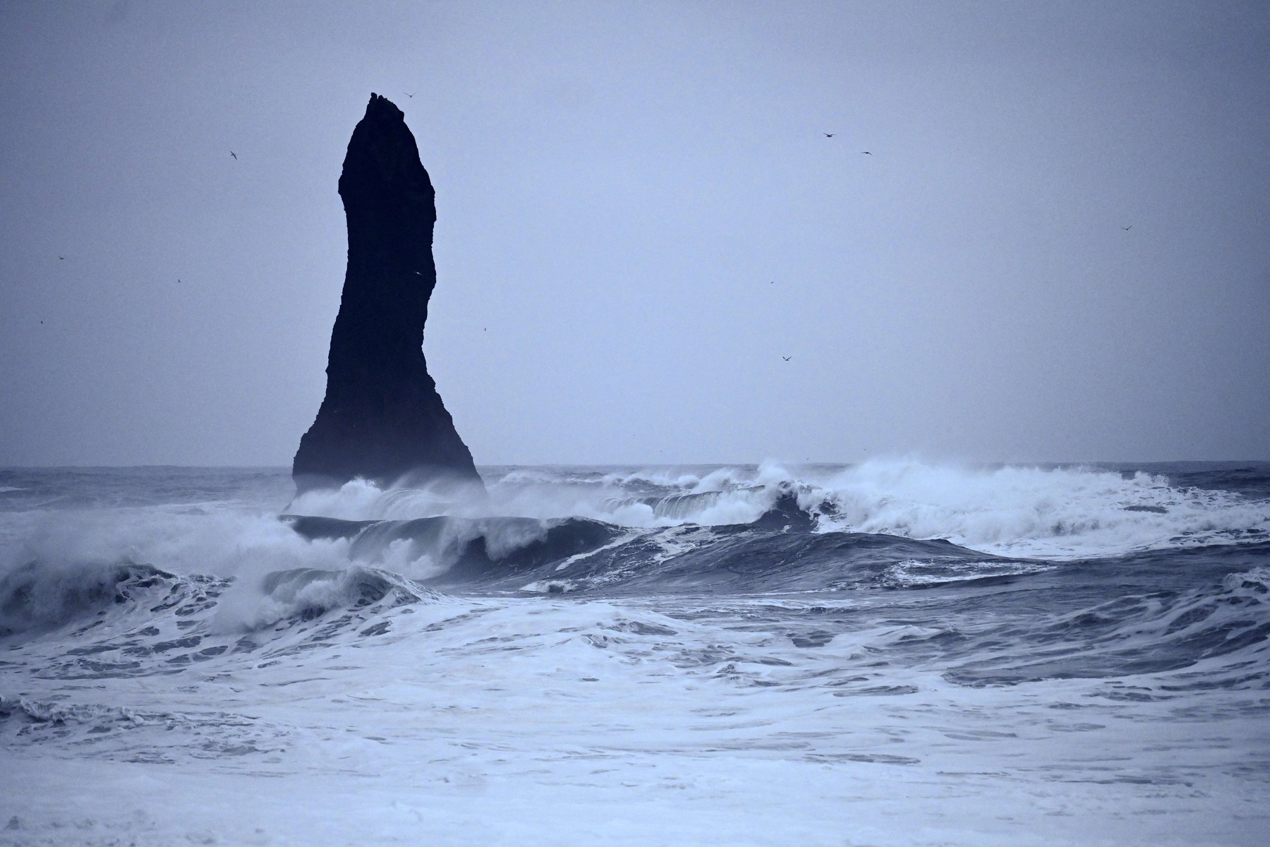 Reynisfjara, Islandija