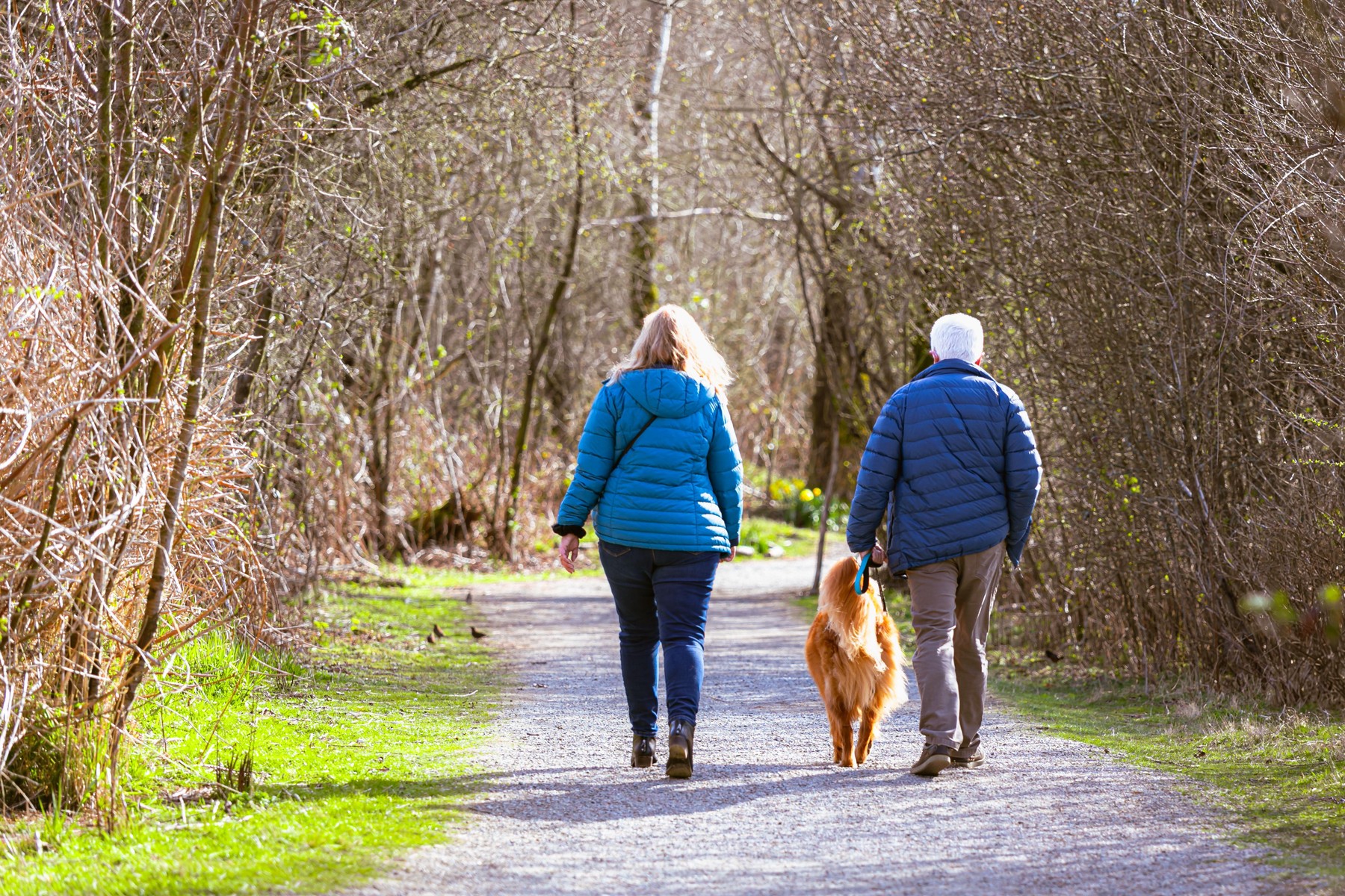 Rear view of an Elderly couple with their pet dog in the forest.