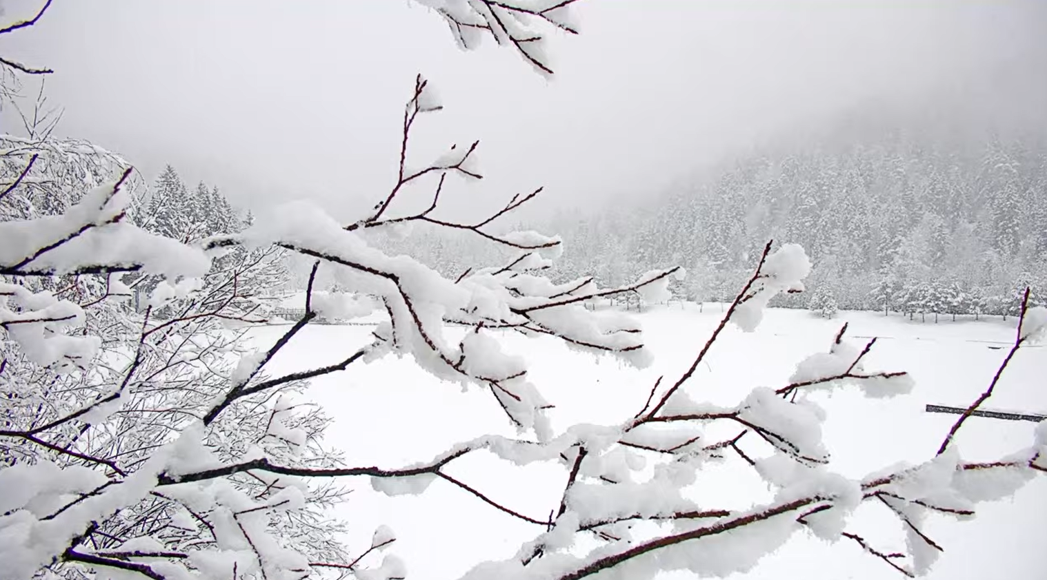 Kranjska Gora, jezero Jasna