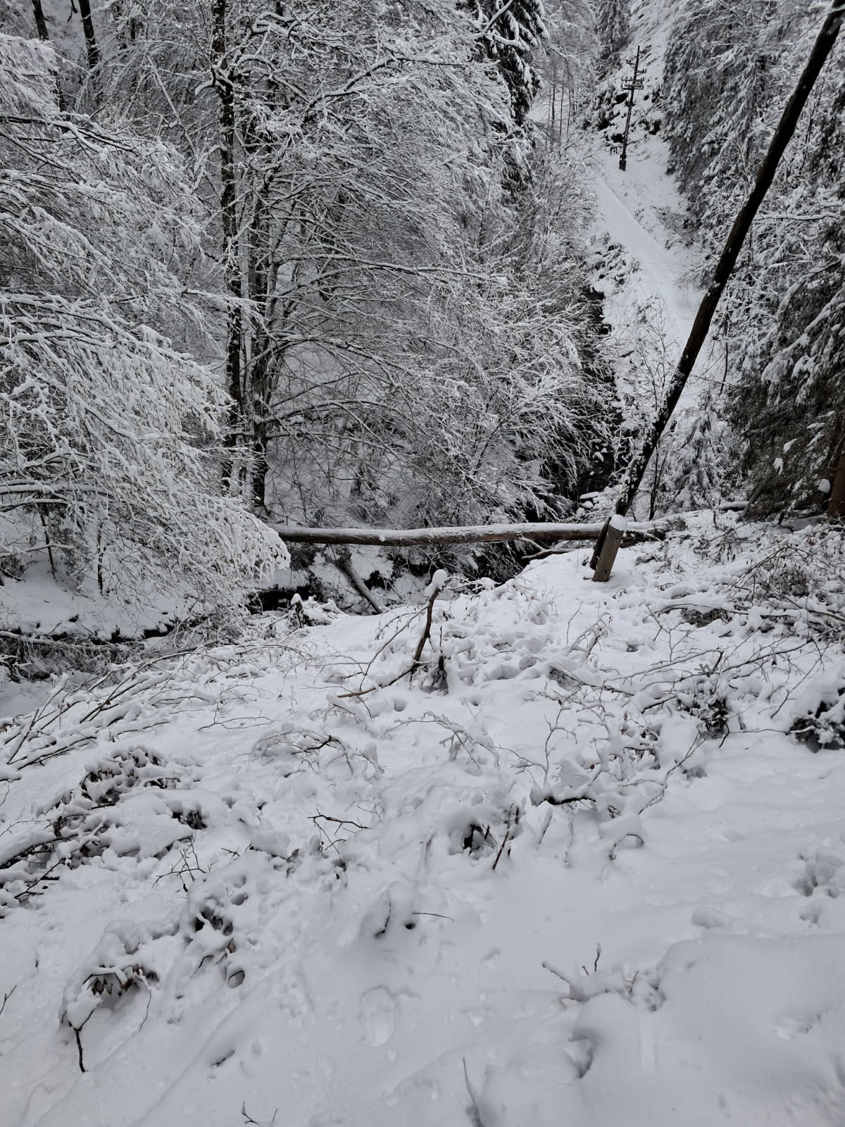 Fotografije s terena, Elektro Maribor
