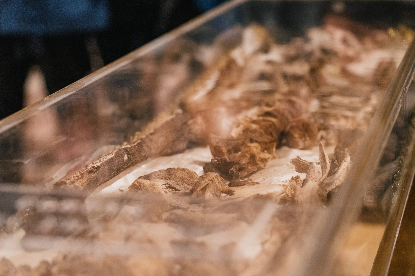 Posmrtni ostanki Frančiška Asiškega