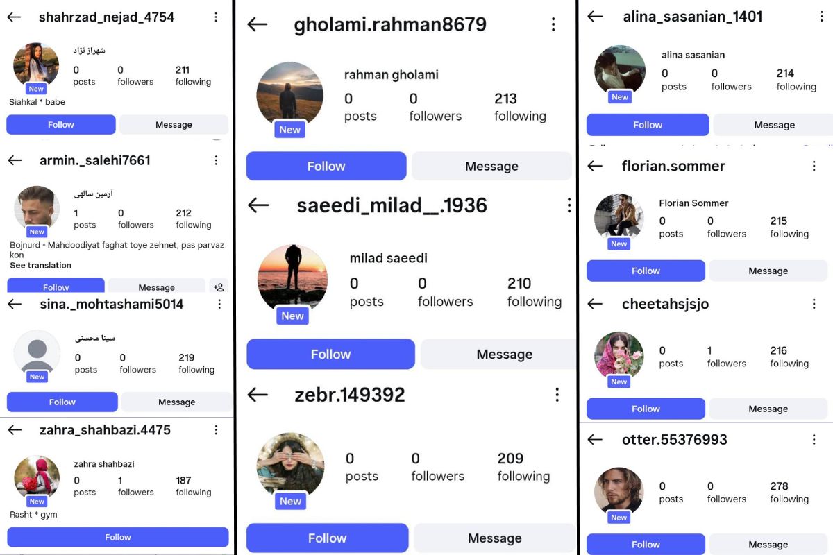 Lažni profili na Instagramu