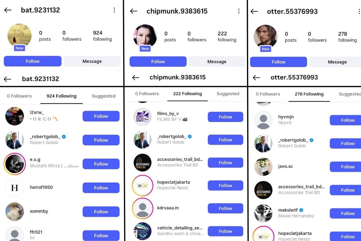 Boti, ki sledijo Robertu Golobu