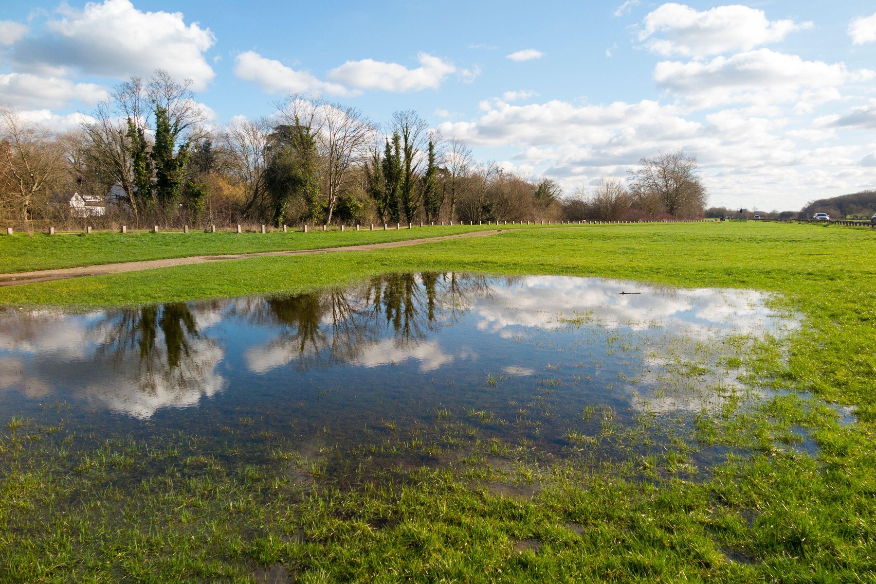Runnymede meadows & flood plain, site of the signing of Magna Carta in year 1215 by King John & the English Barons.