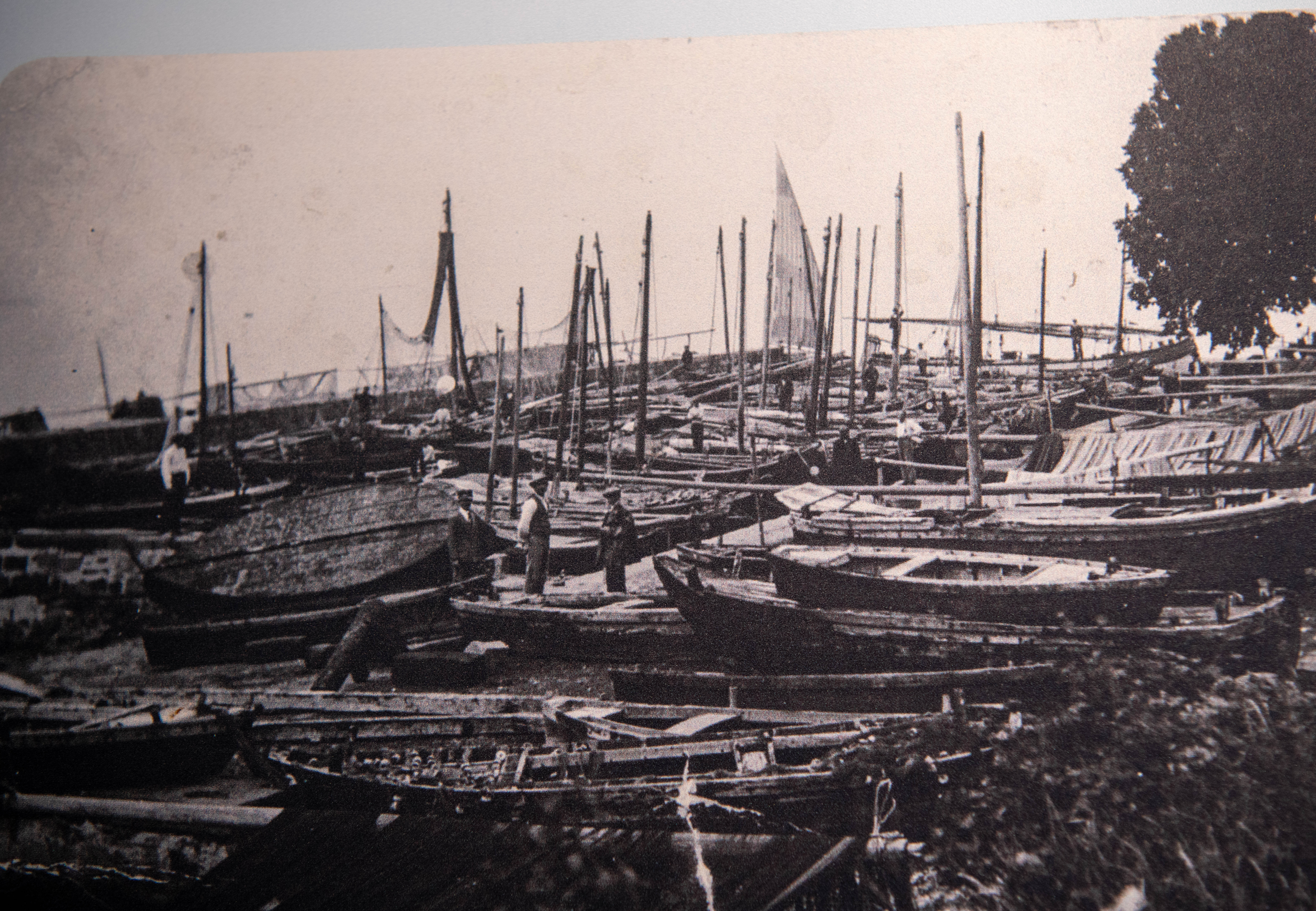 Množica ribiških čolnov v enem od slovenskih pristanov