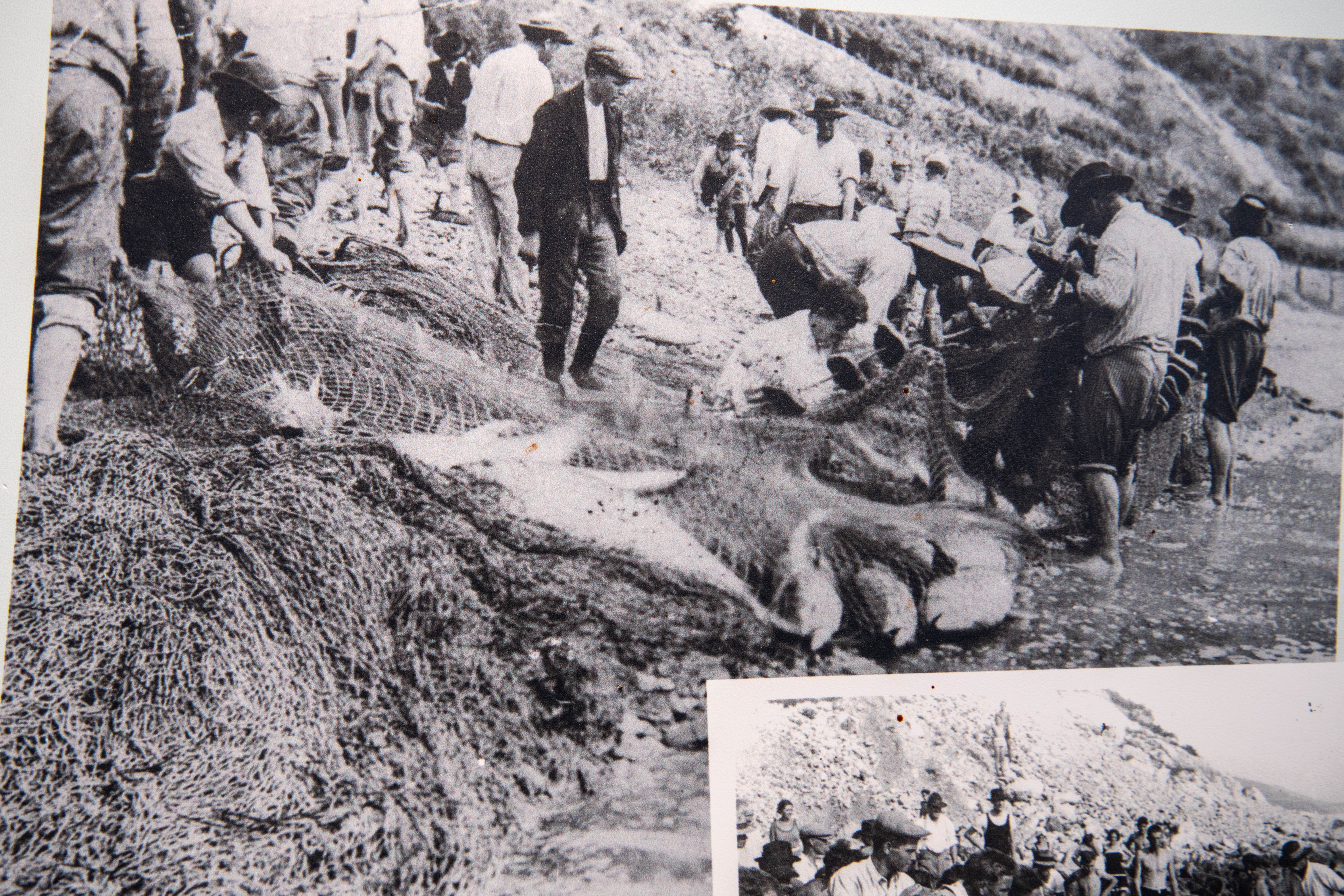 Tunolov v vasi Križ