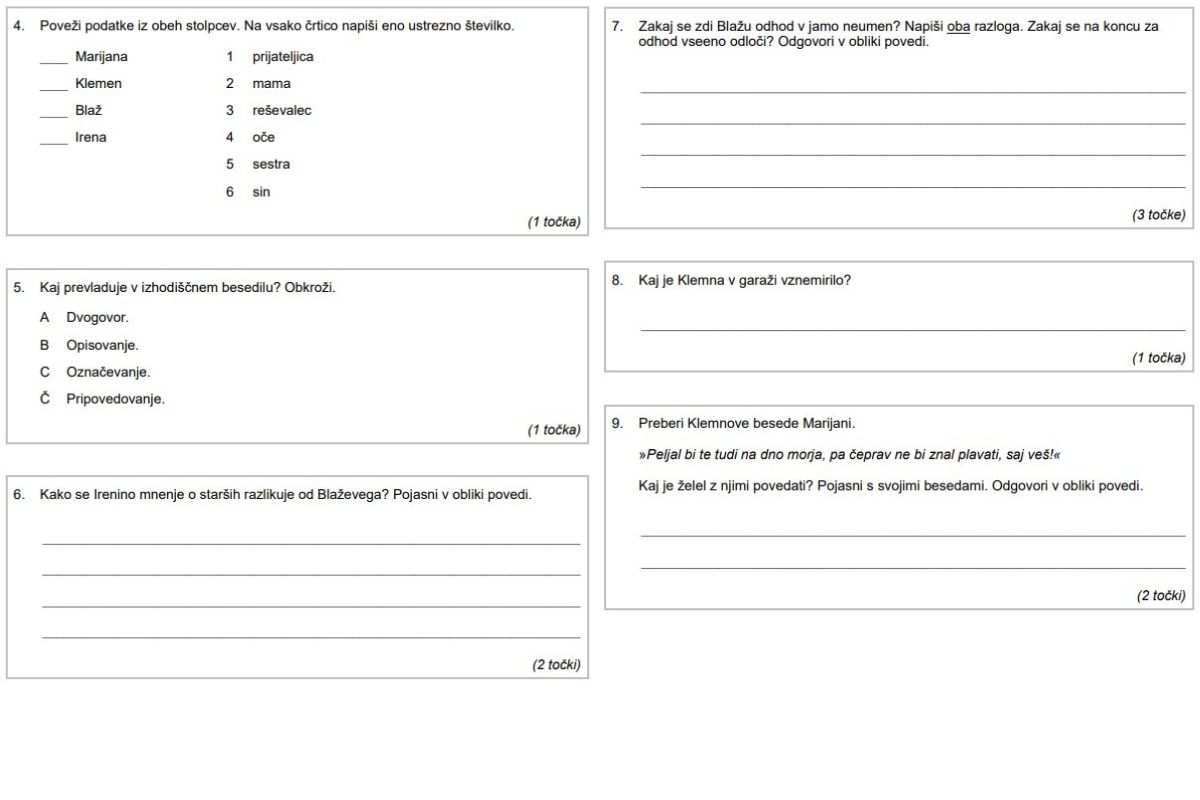 NPZ iz slovenščine 2025