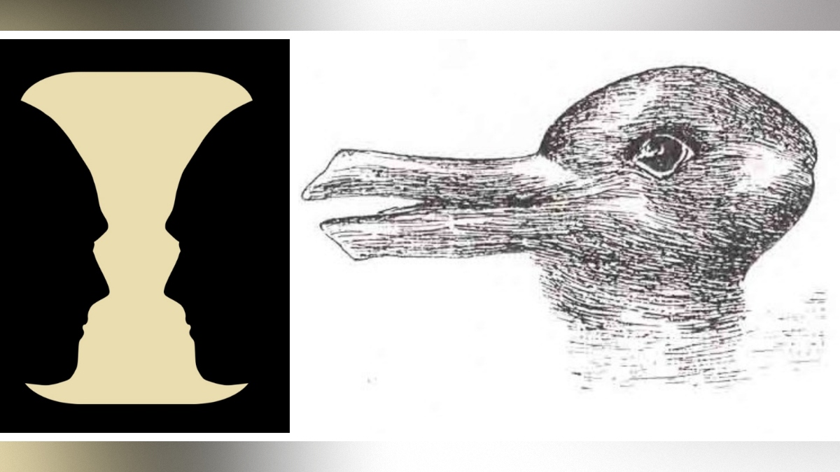 Rubinova vaza in raca-zajec, optična iluzija